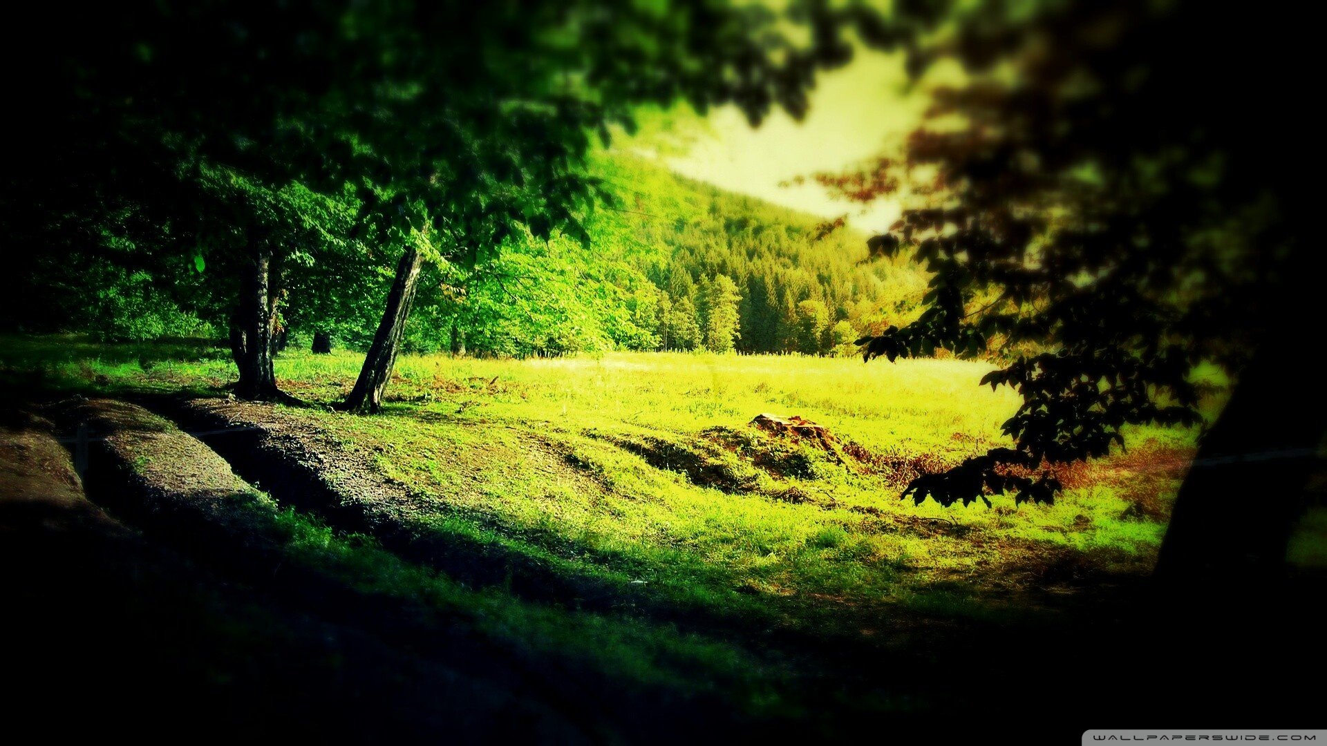 小清新,温馨一刻,儿童桌面专用