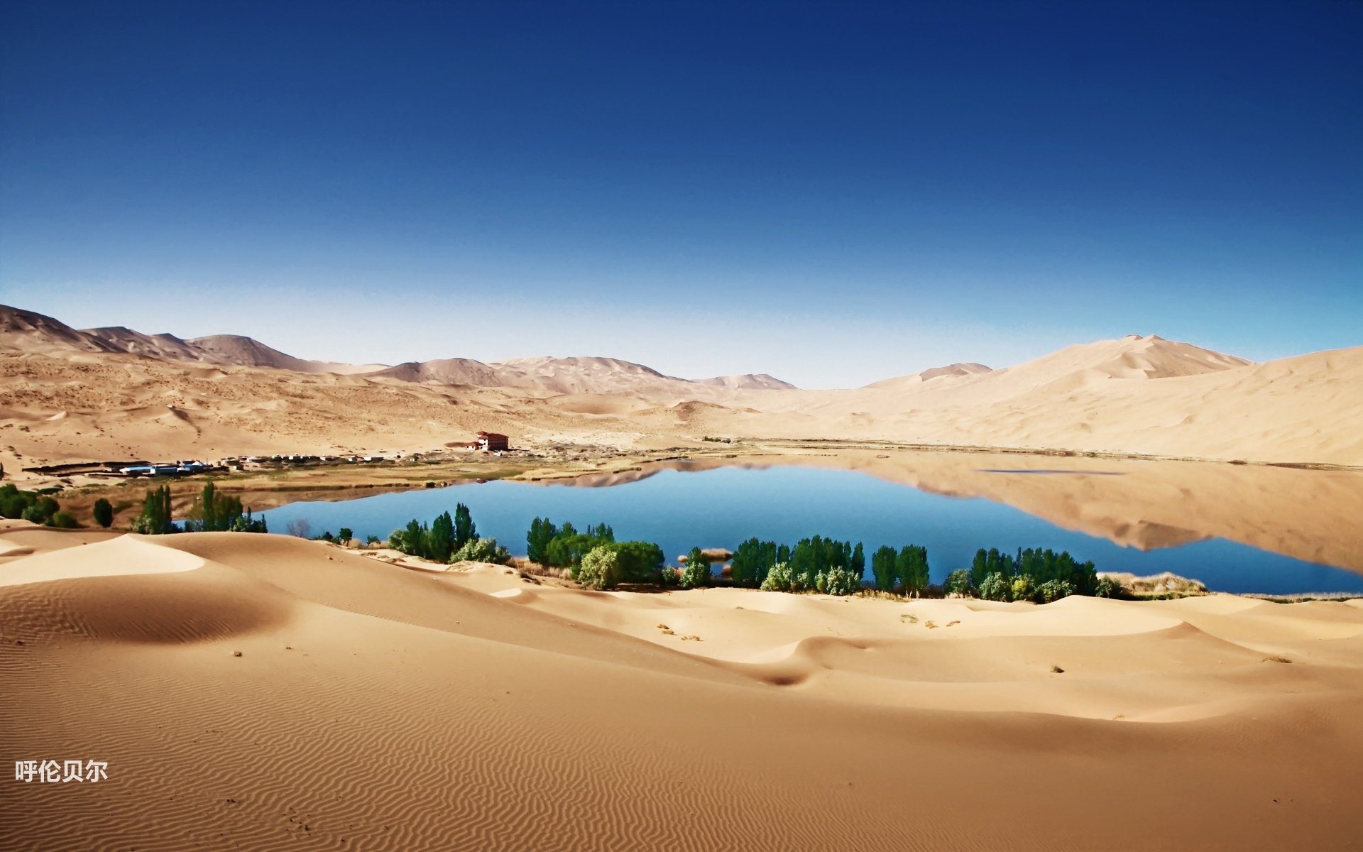 风景,途牛旅游,呼伦贝尔,摄影,旅游胜地,儿童桌面专用