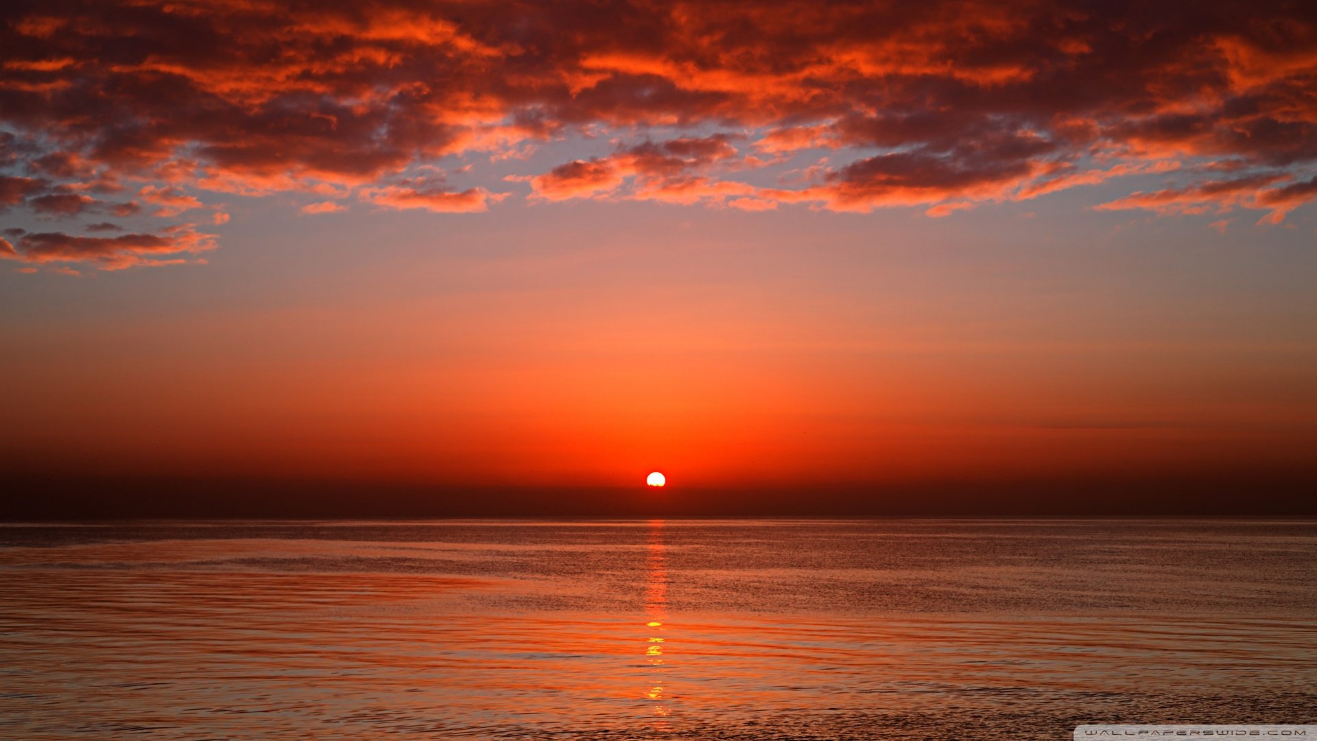 风景,落日余晖,儿童桌面专用