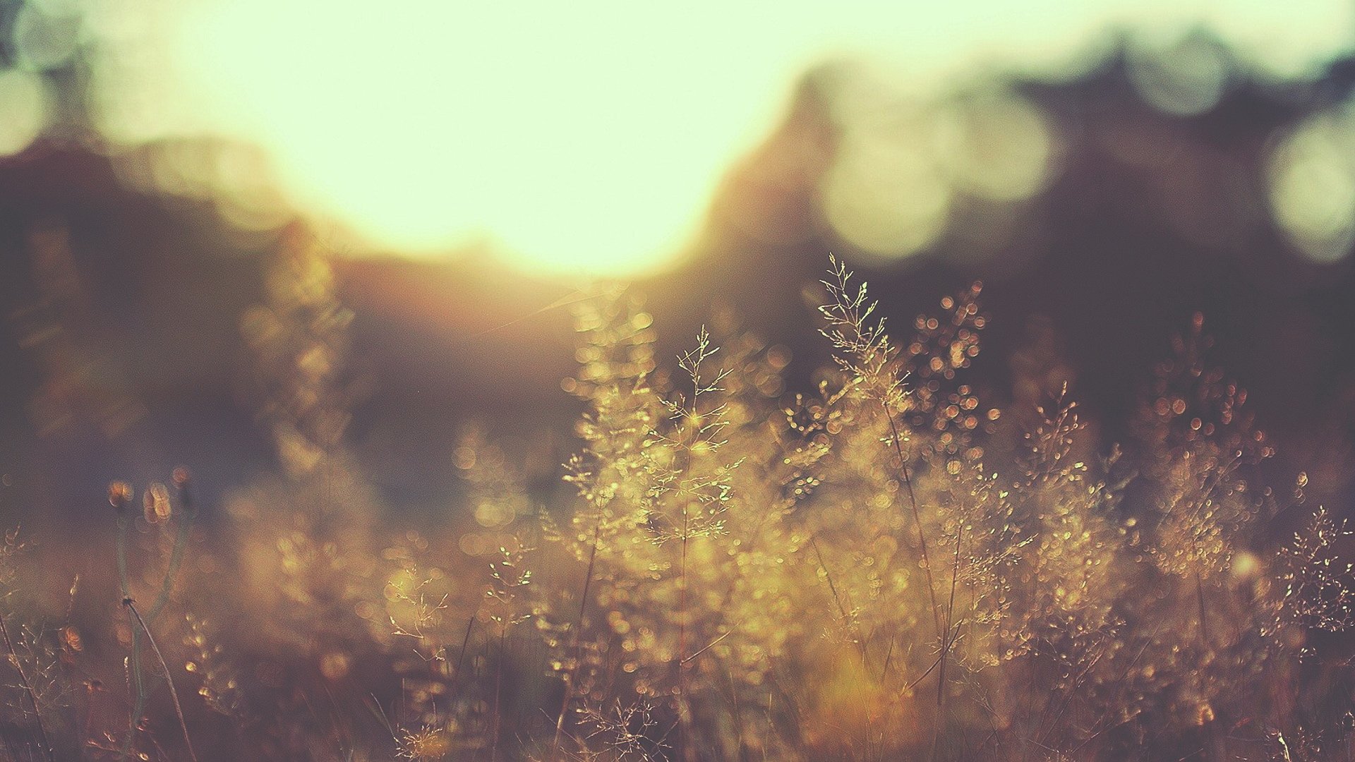 小清新,温馨一刻,儿童桌面专用