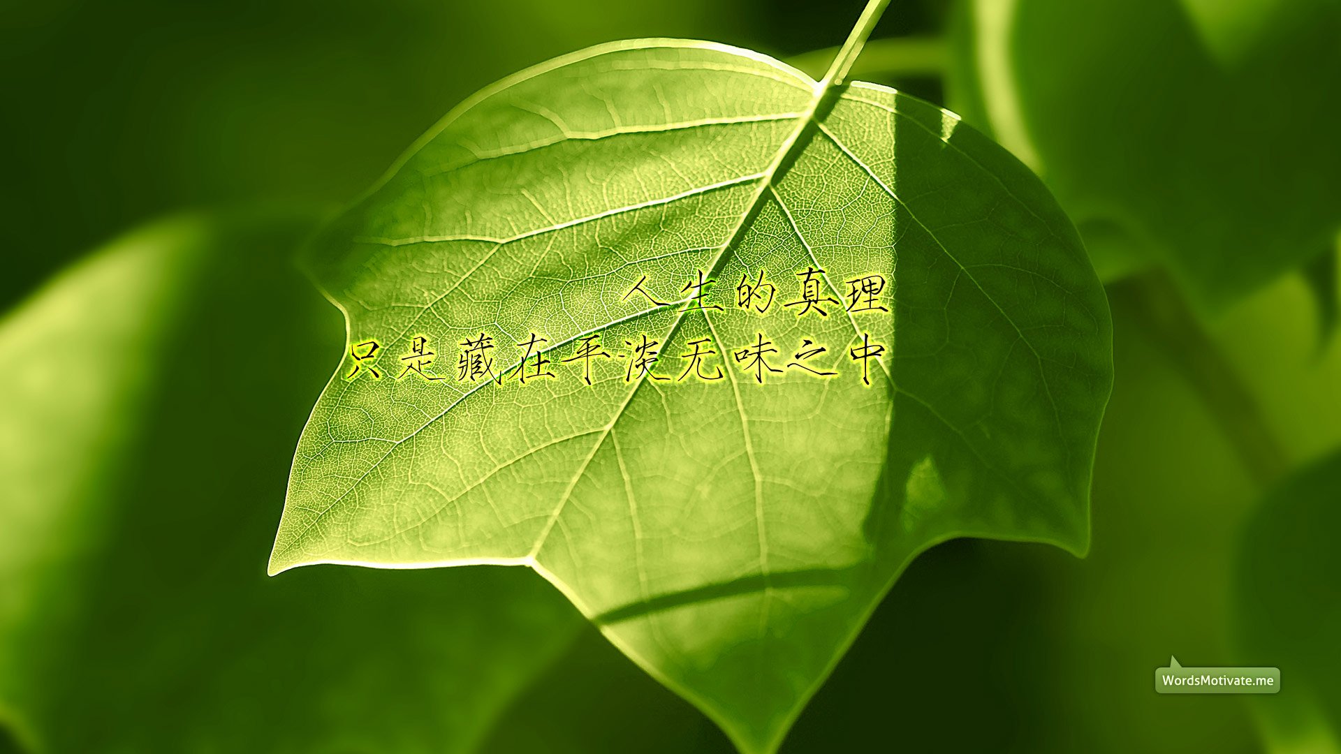 创意,励志,正能量,儿童桌面专用