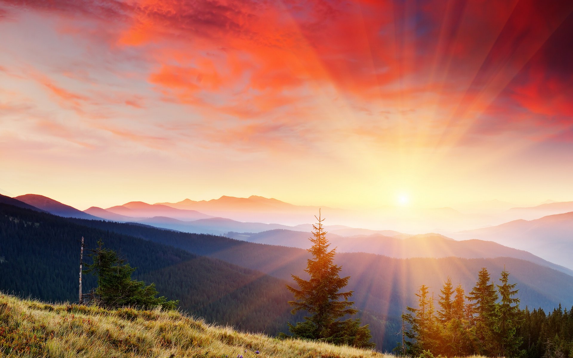 风景,落日余晖,儿童桌面专用