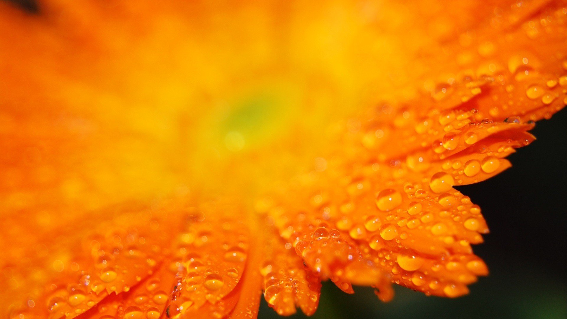 小清新,清新淡雅,儿童桌面专用