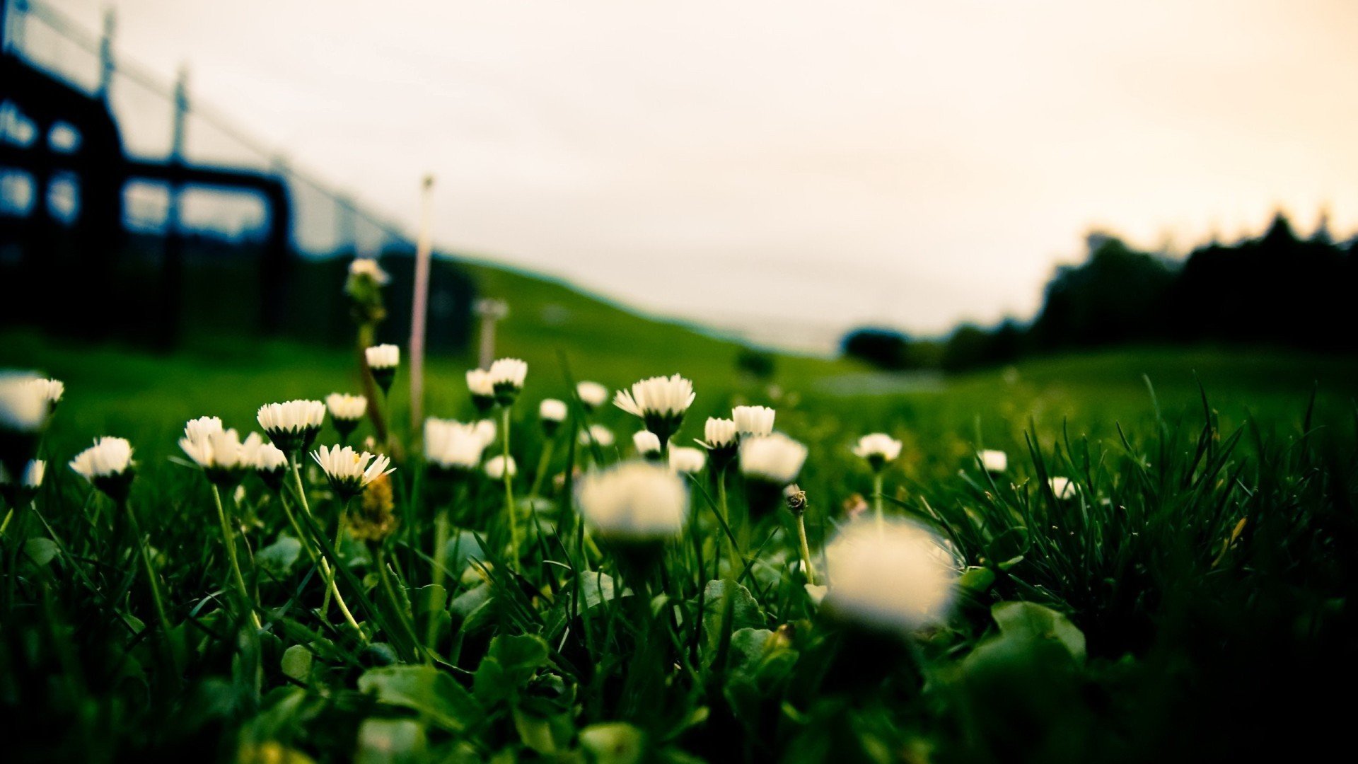 小清新,清新淡雅,儿童桌面专用