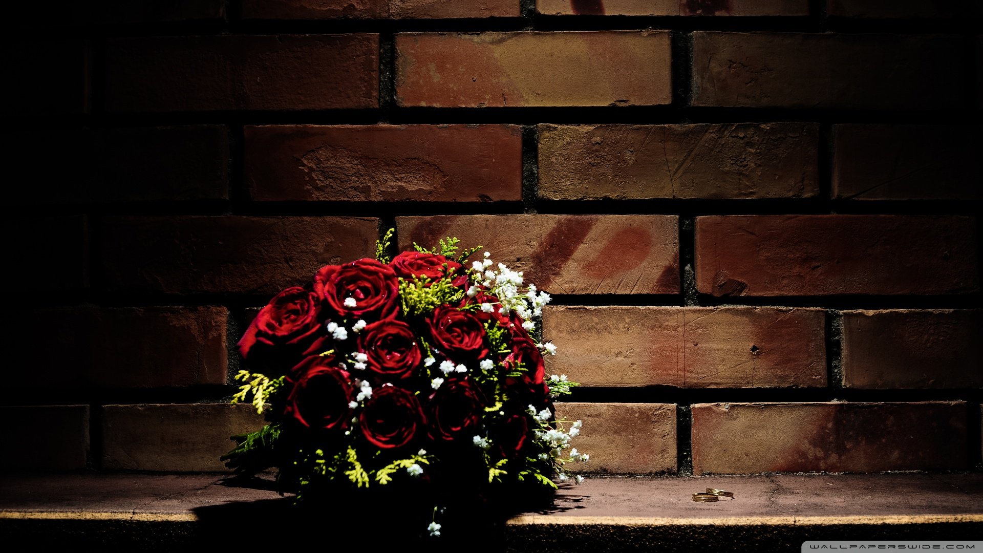 小清新,静物写真