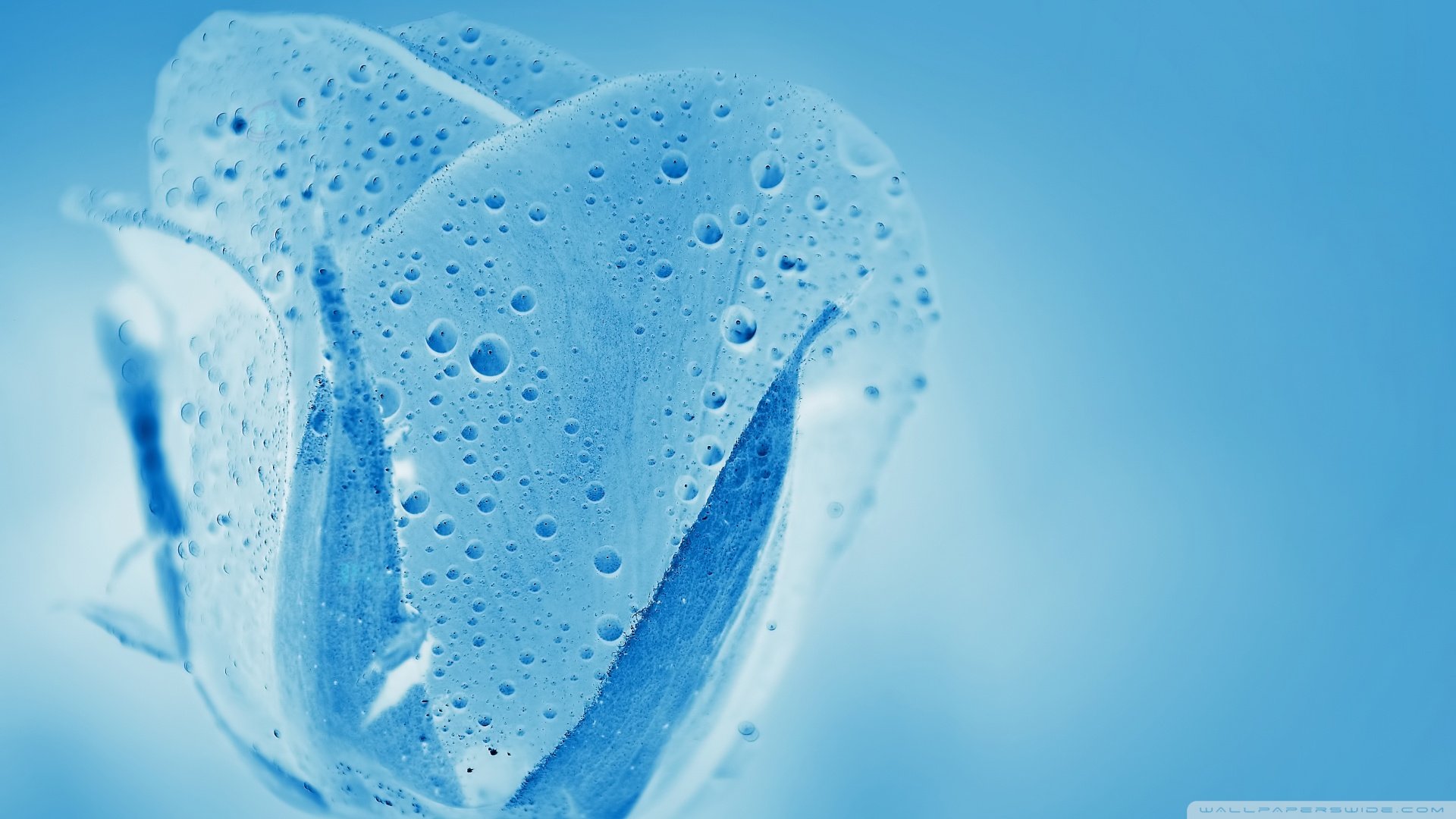 小清新,清新淡雅,儿童桌面专用