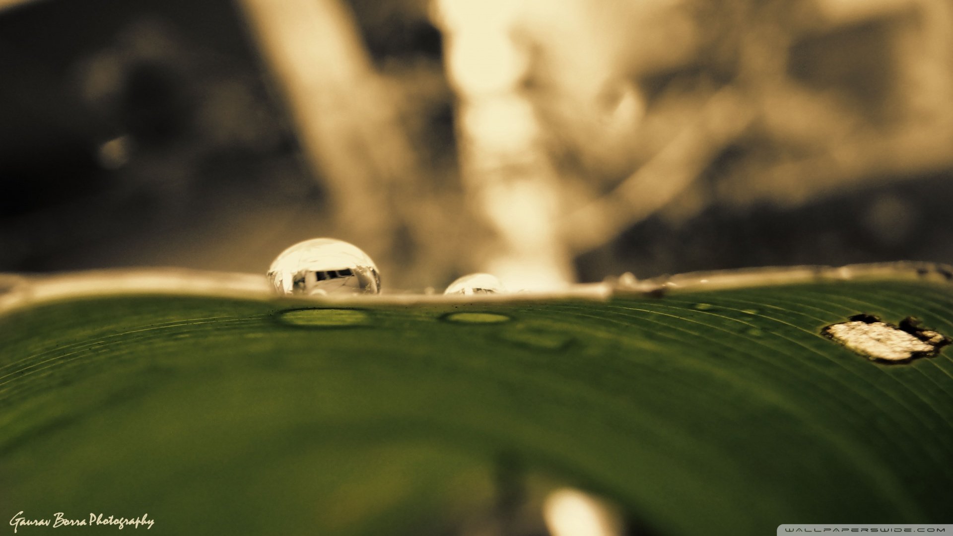 小清新,护眼壁纸,儿童桌面专用