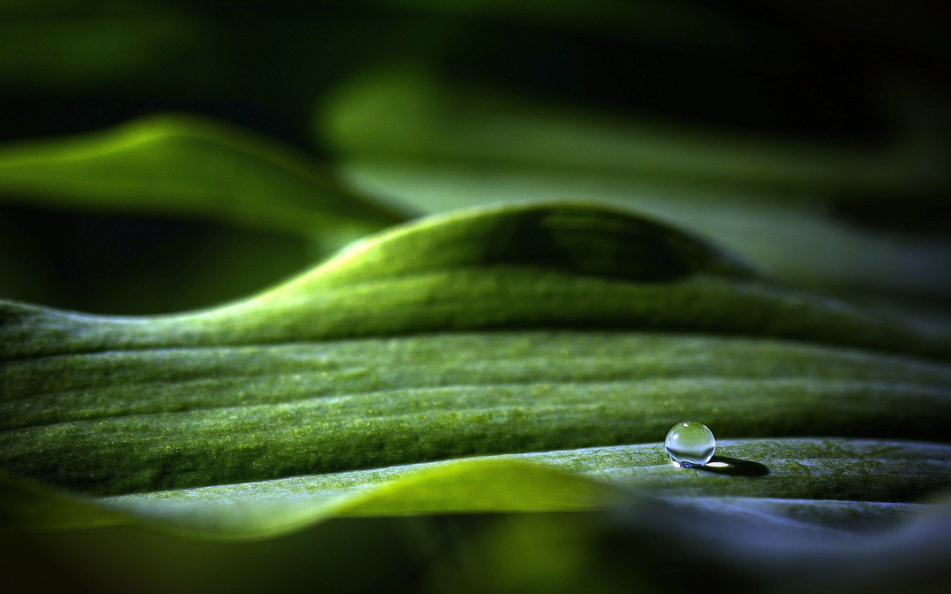 小清新,护眼壁纸,儿童桌面专用
