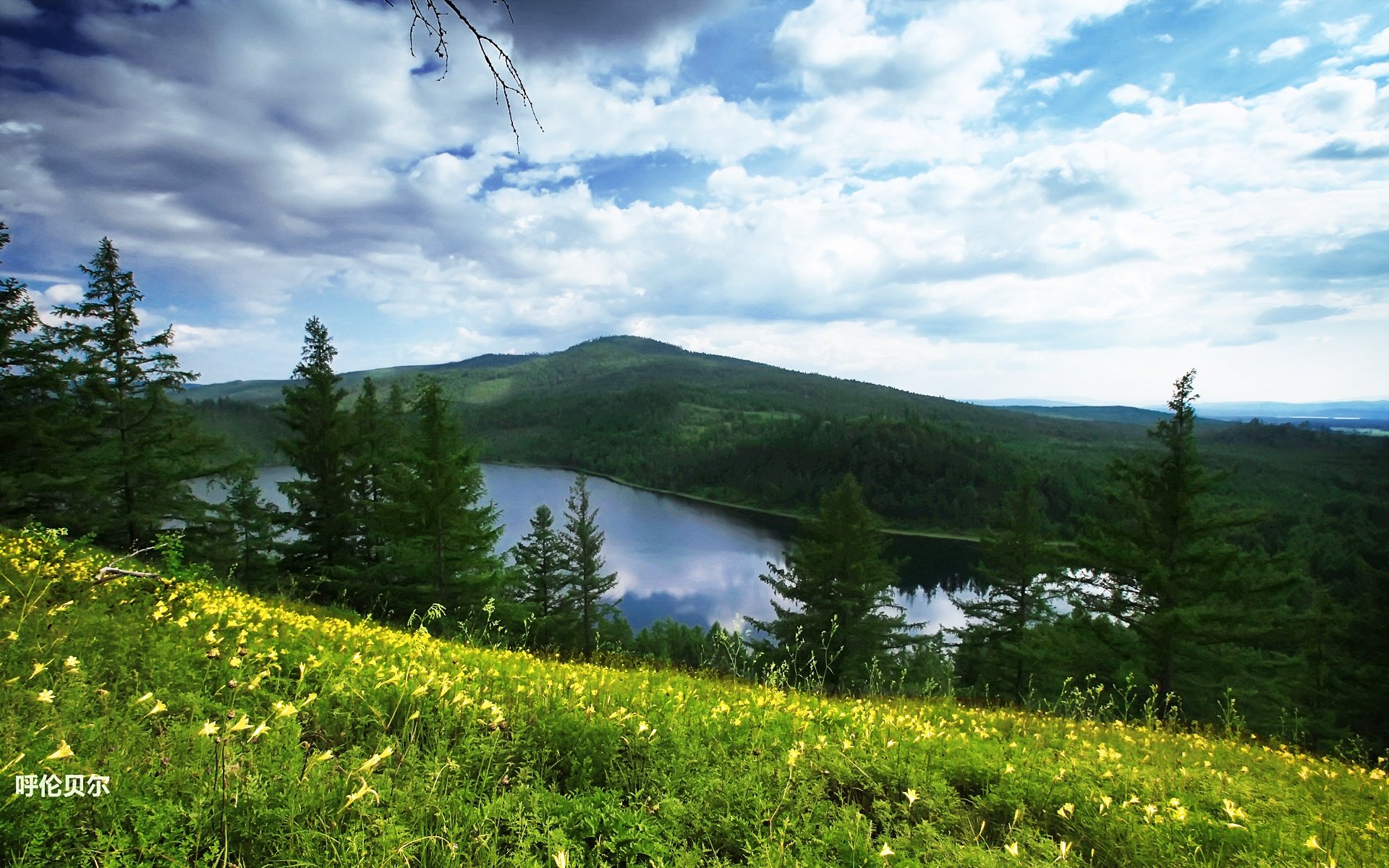 风景,途牛旅游,呼伦贝尔,摄影,旅游胜地,儿童桌面专用