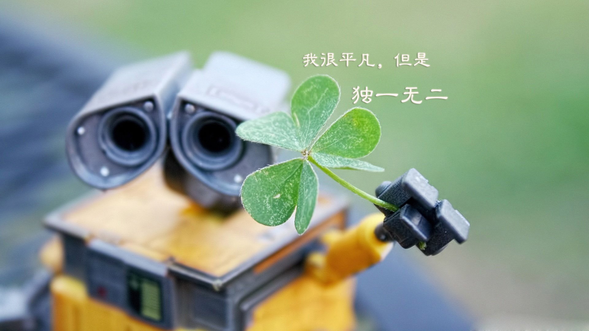 爱情,七夕,爱情箴言