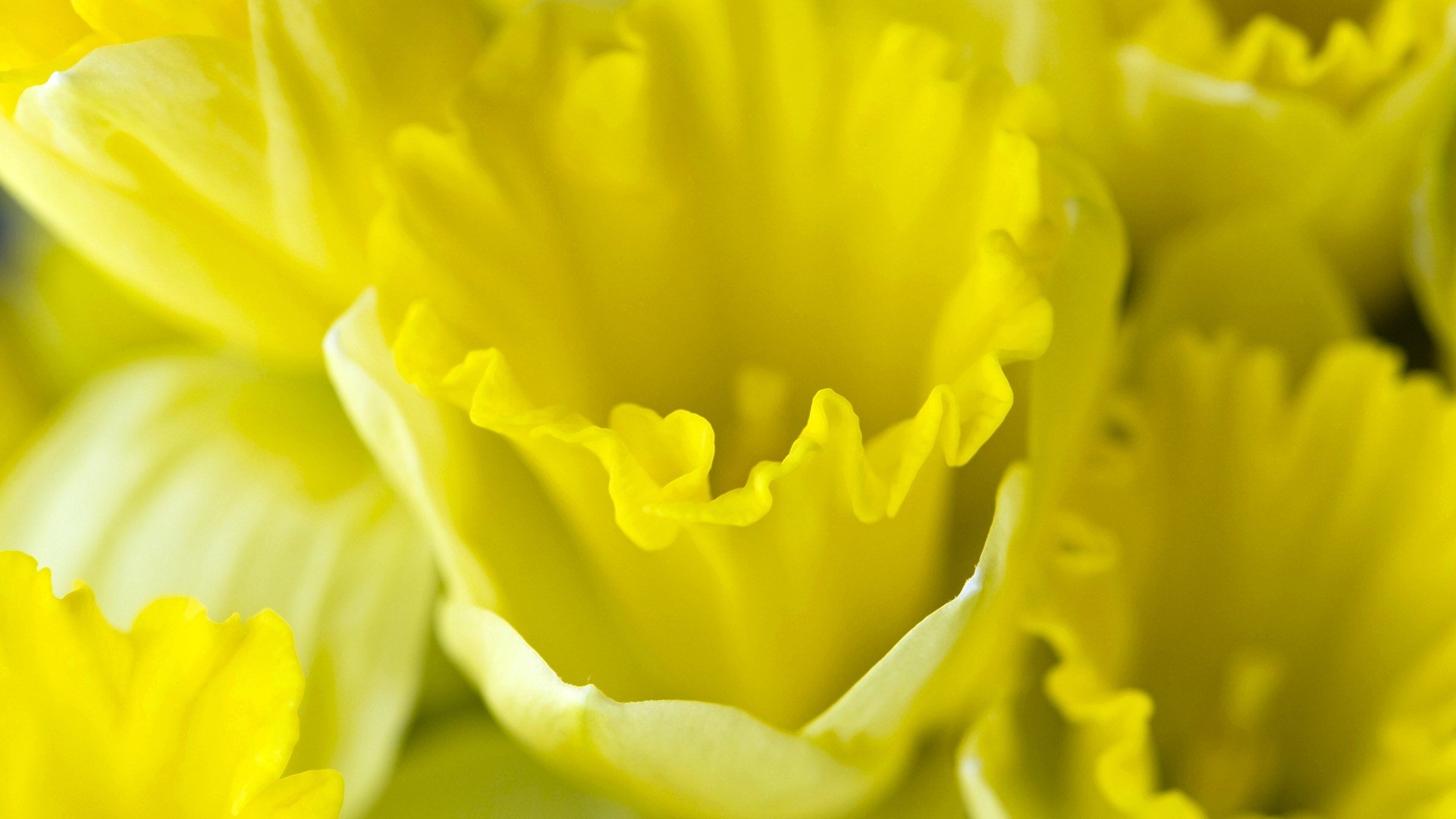 小清新,清新淡雅,儿童桌面专用