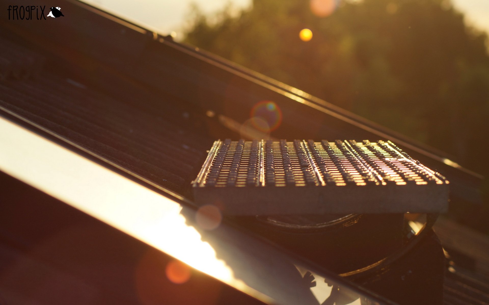 小清新,静物写真,儿童桌面专用