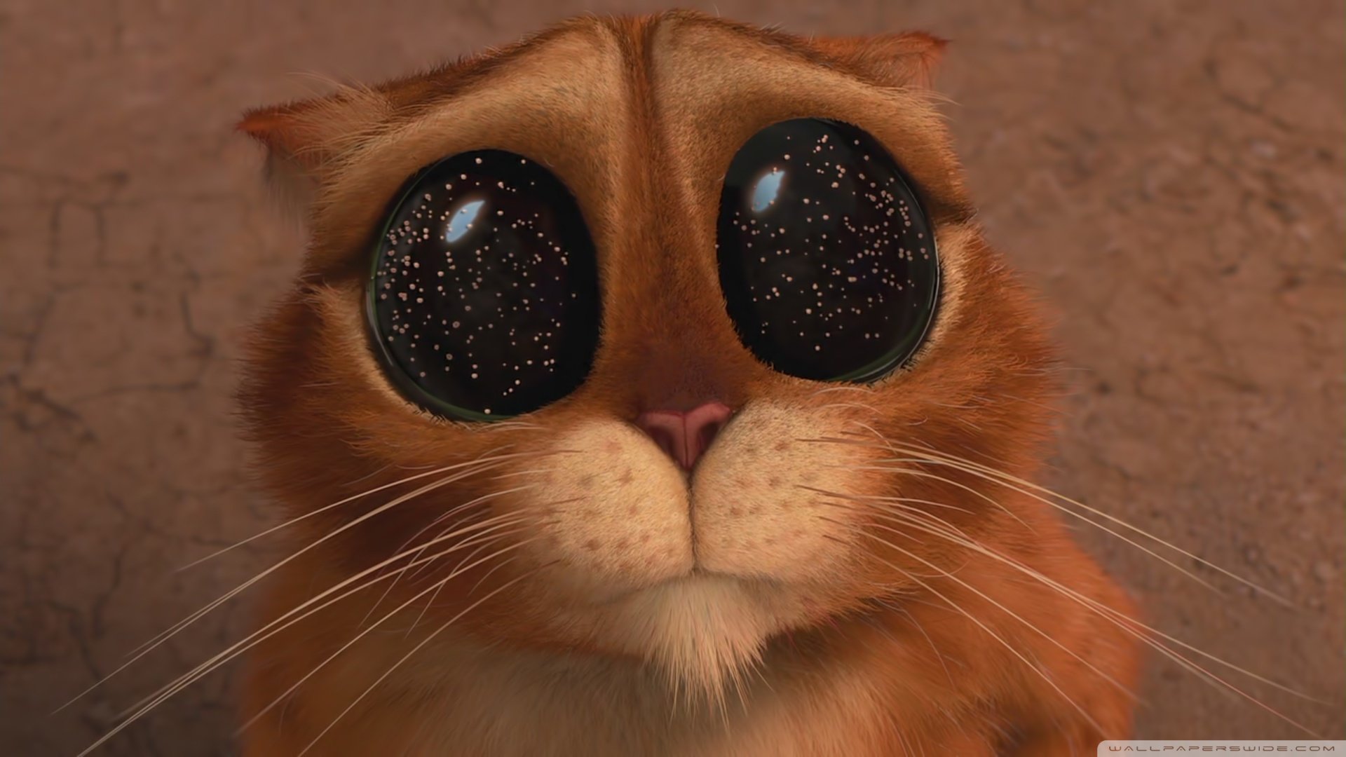 萌宠,喵星人,儿童桌面专用