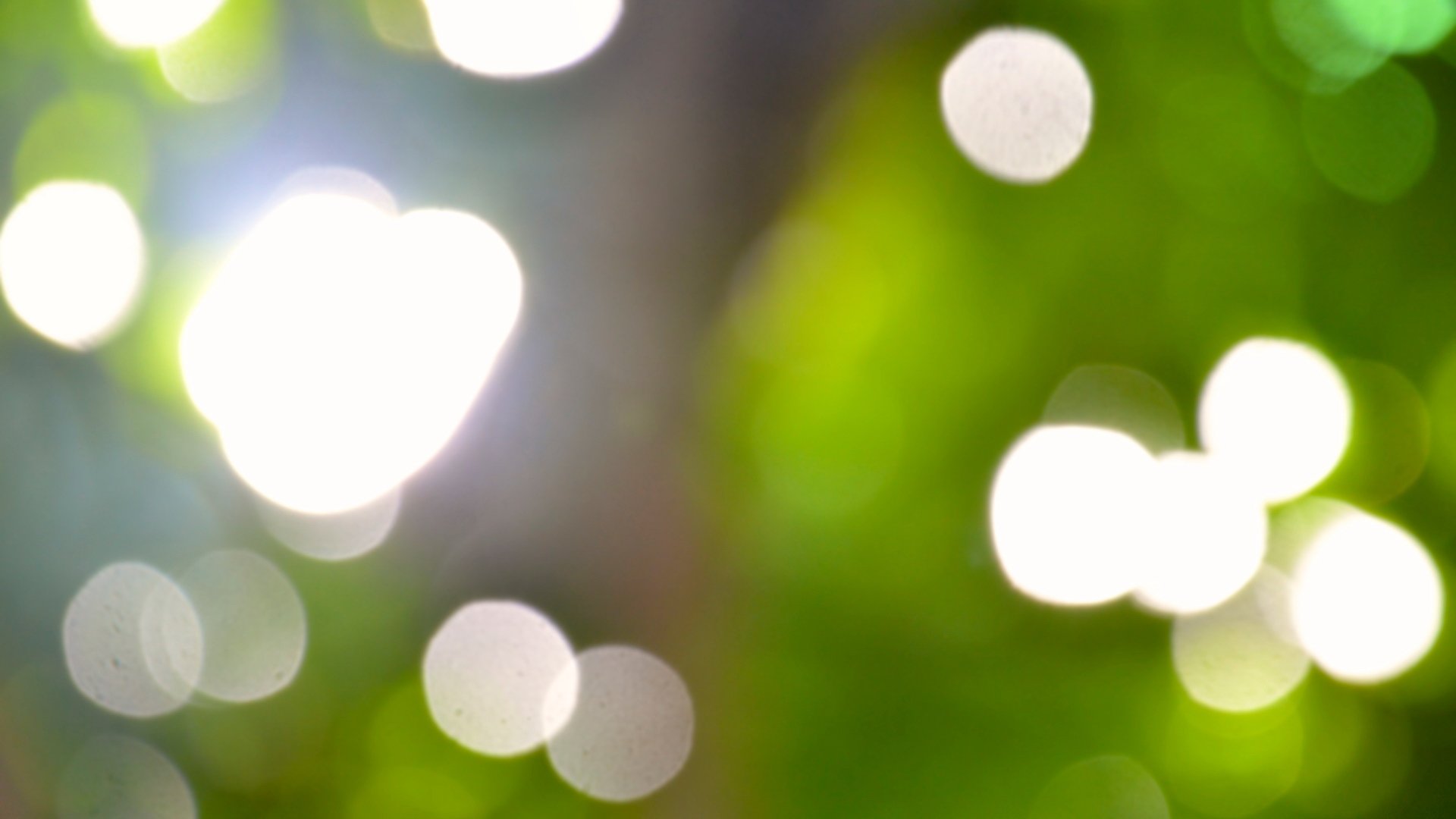 小清新,温馨一刻,儿童桌面专用