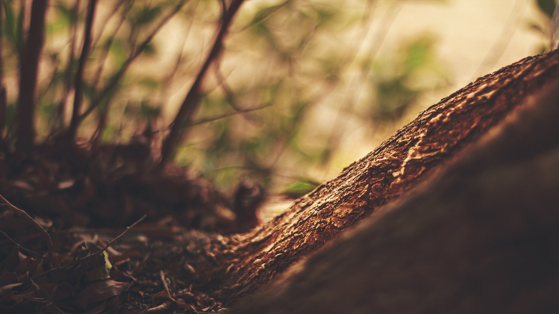 小清新,温馨一刻