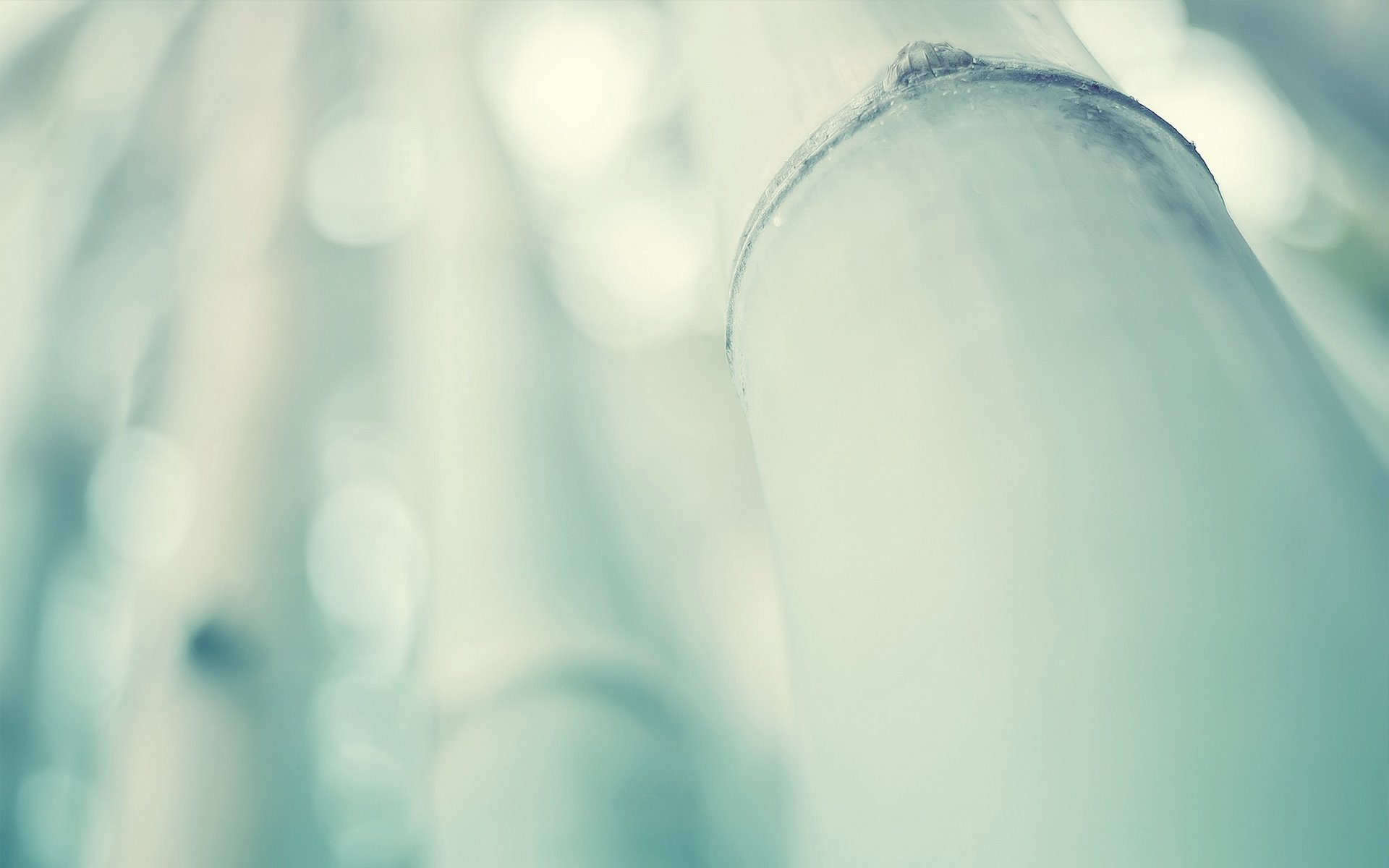 小清新,静物写真,儿童桌面专用