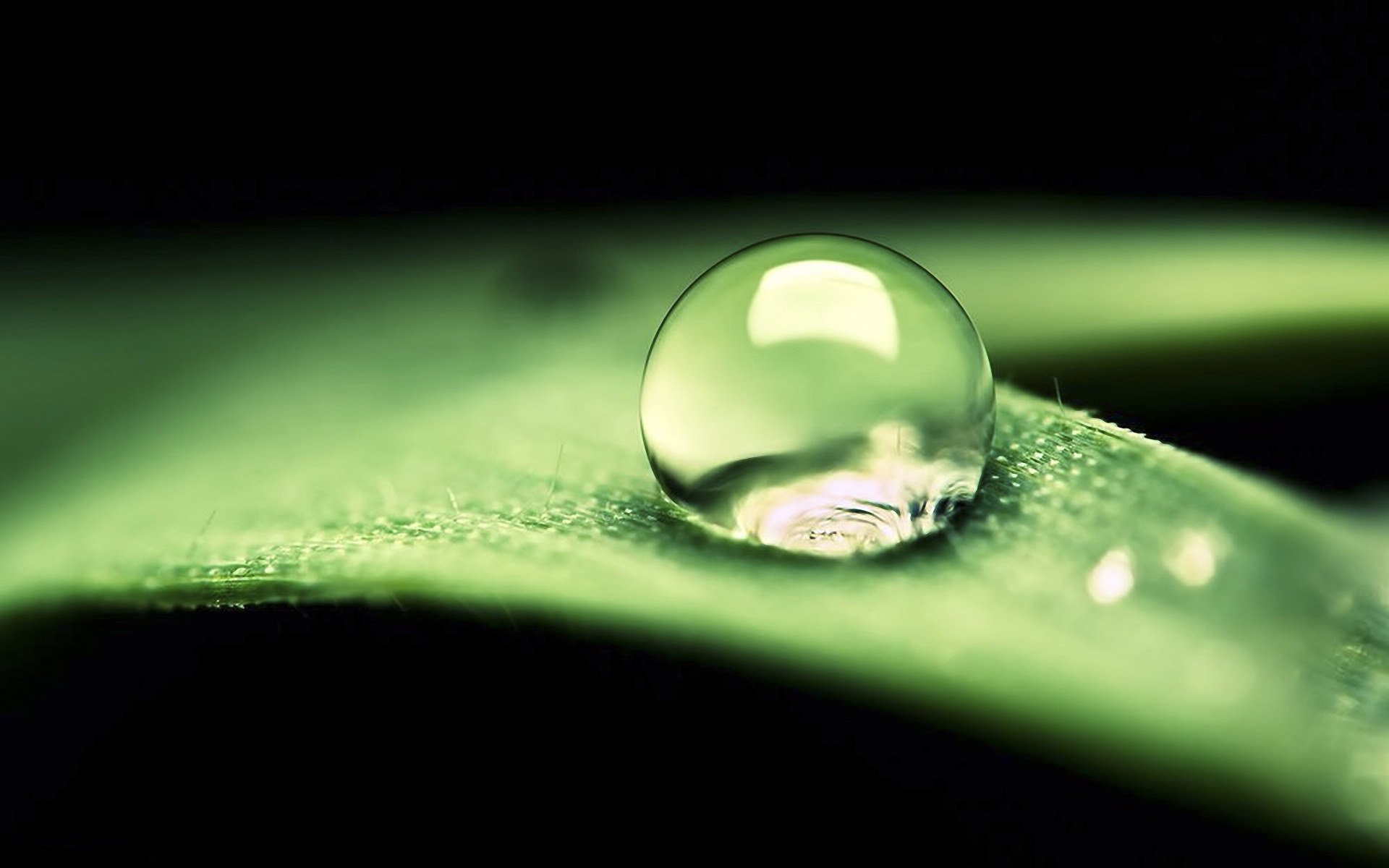 小清新,护眼壁纸,儿童桌面专用