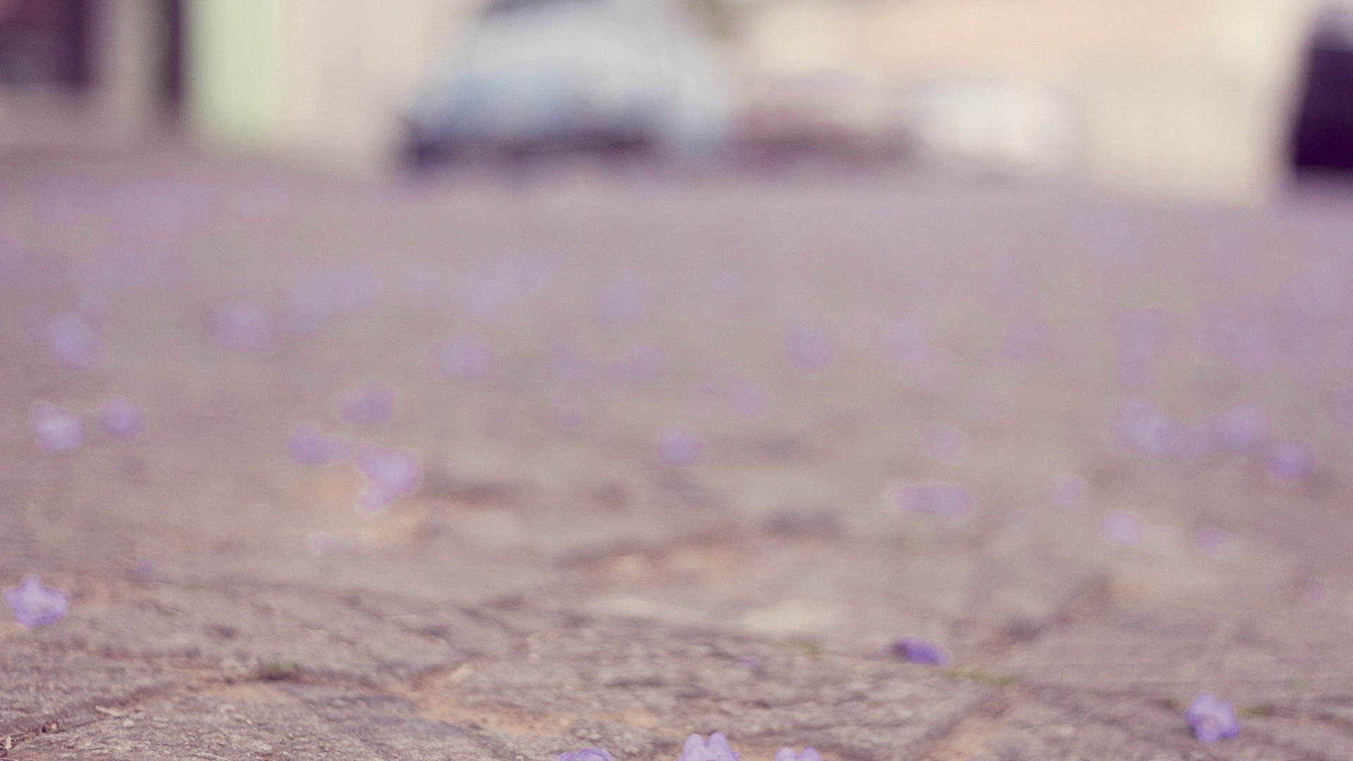 小清新,温馨一刻,儿童桌面专用