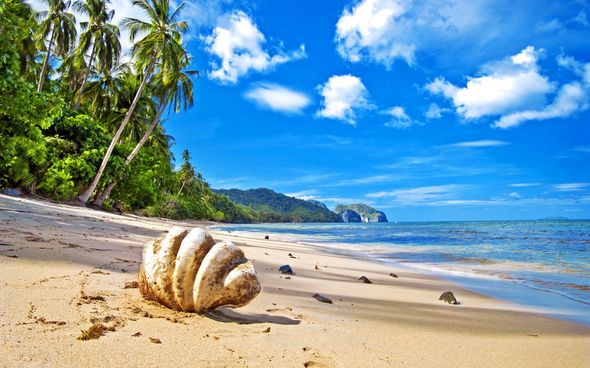 风景,海洋天堂,儿童桌面专用