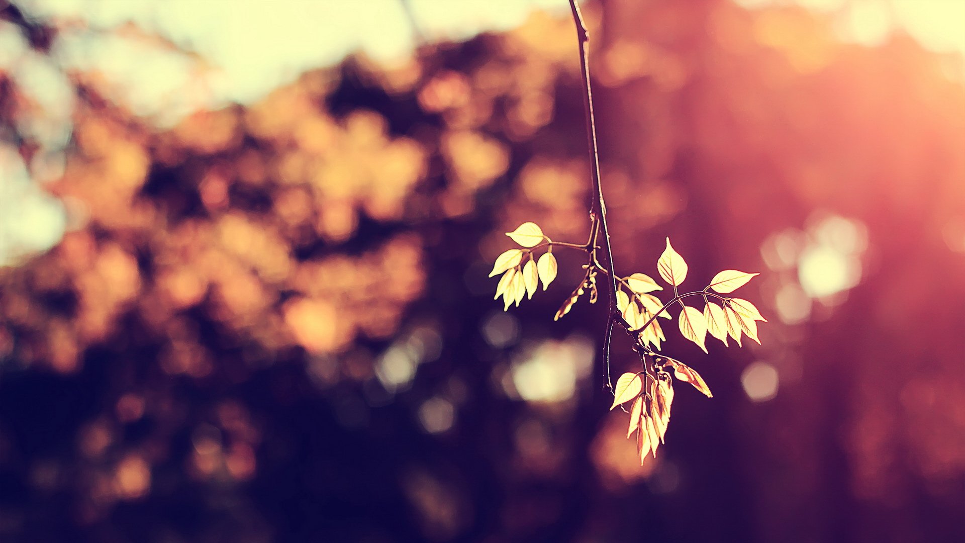 小清新,温馨一刻,儿童桌面专用