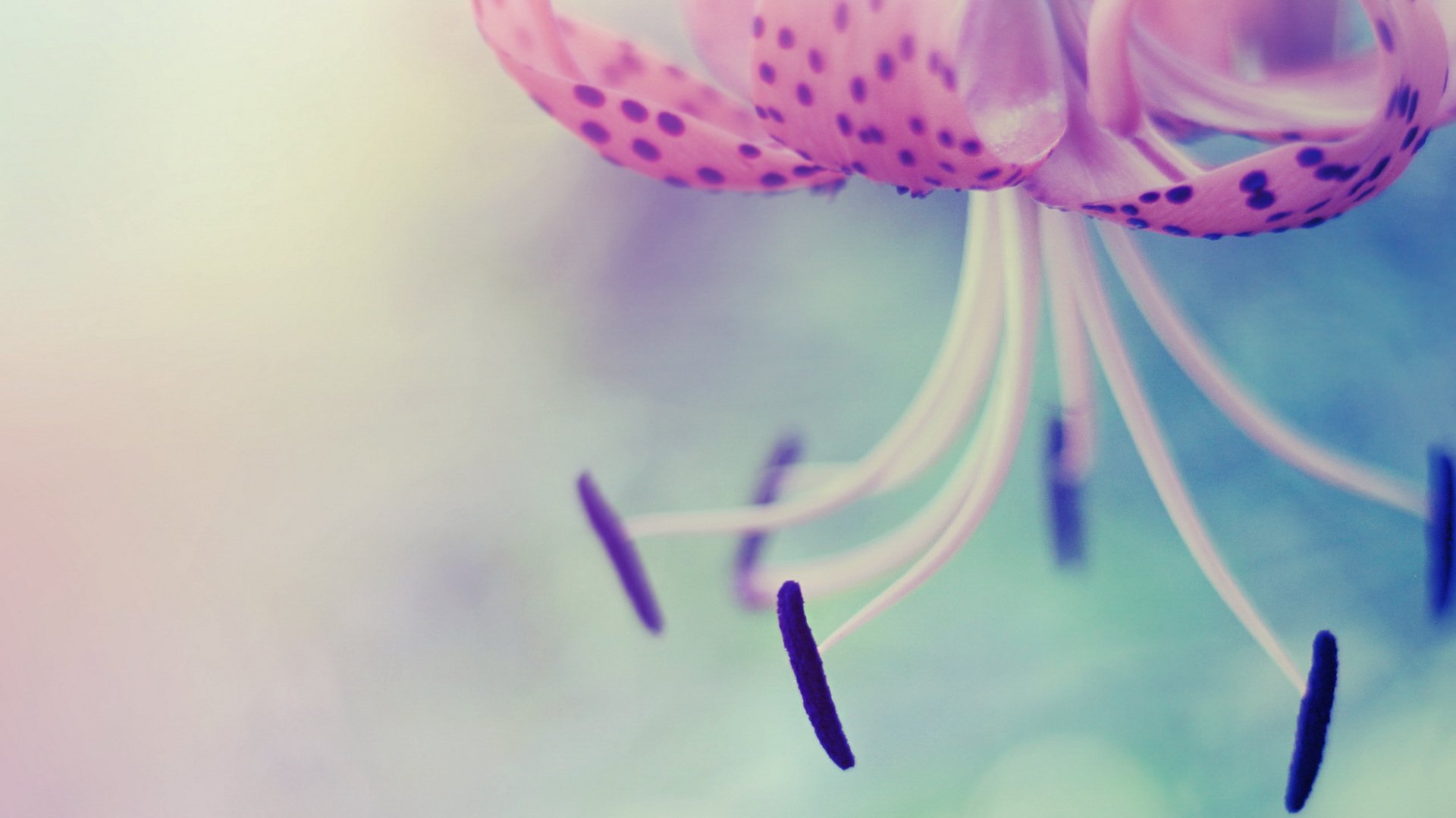 小清新,温馨一刻,儿童桌面专用