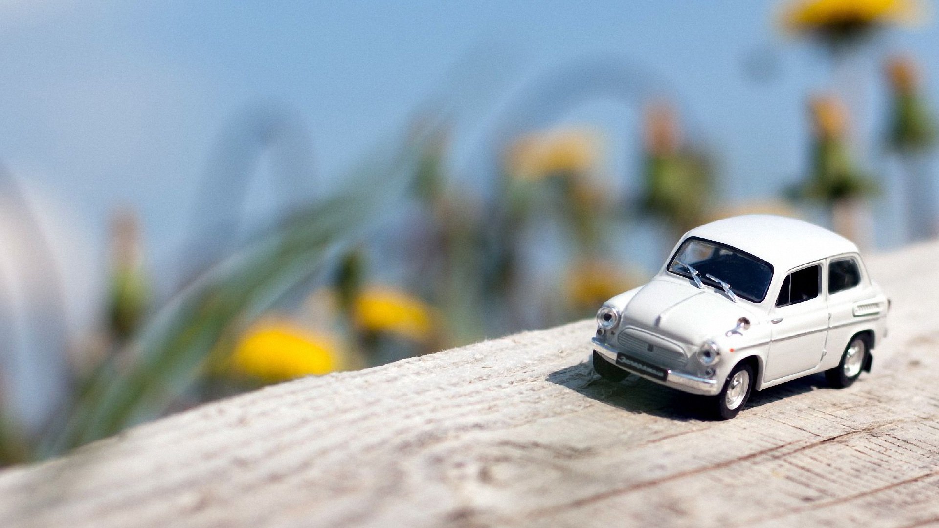 小清新,静物写真,儿童桌面专用