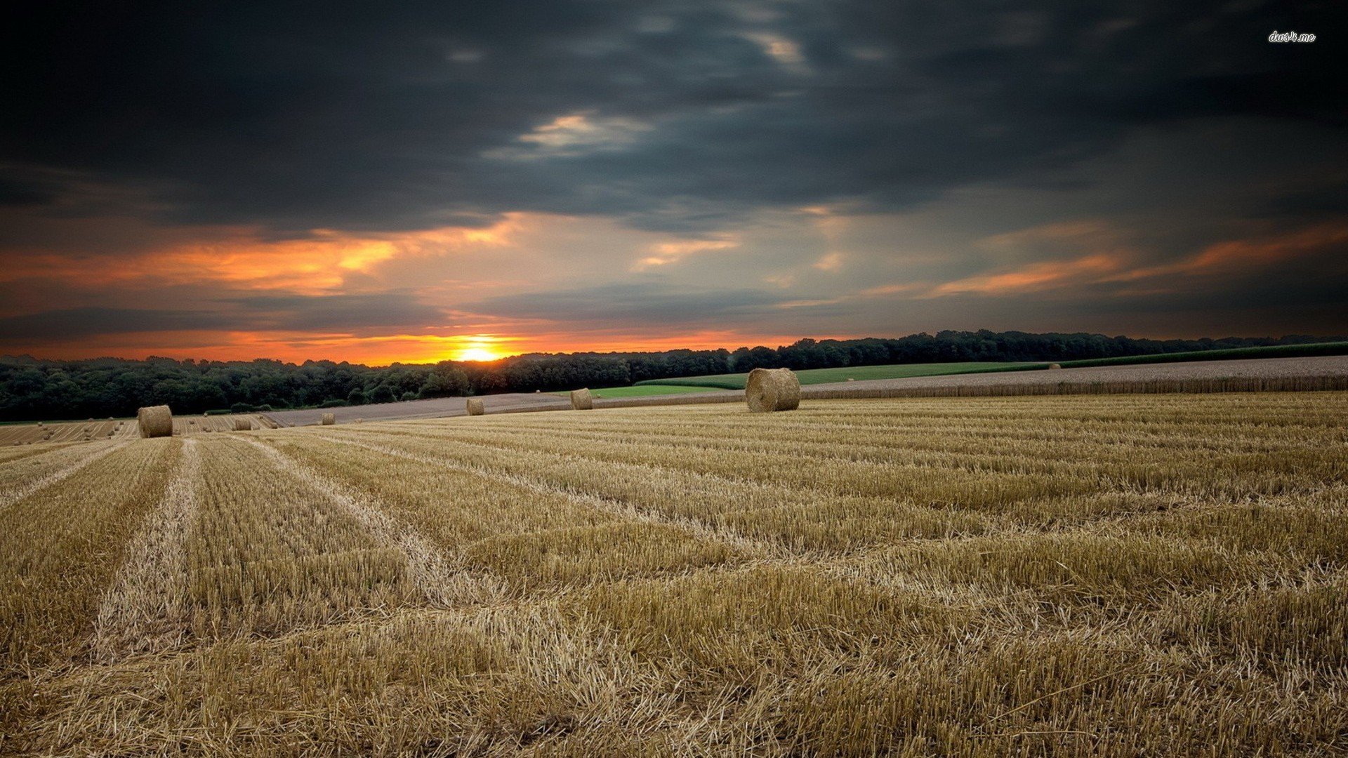 风景,秋意正浓,儿童桌面专用
