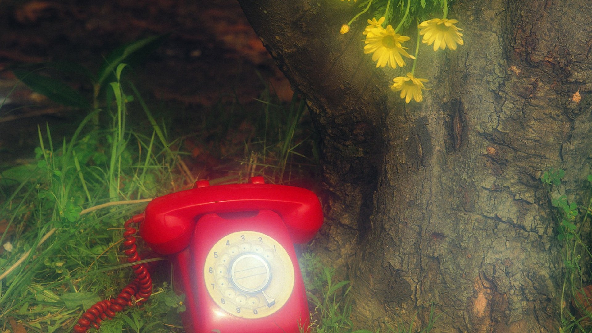 小清新,静物写真,电话,儿童桌面专用