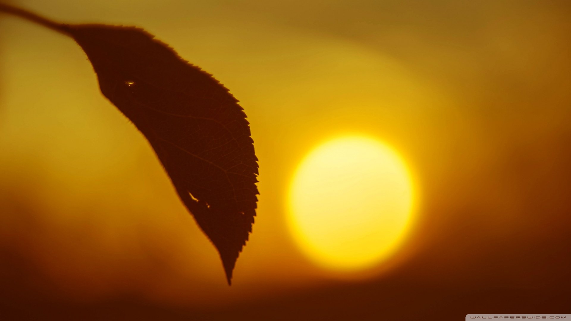 小清新,温馨一刻,儿童桌面专用