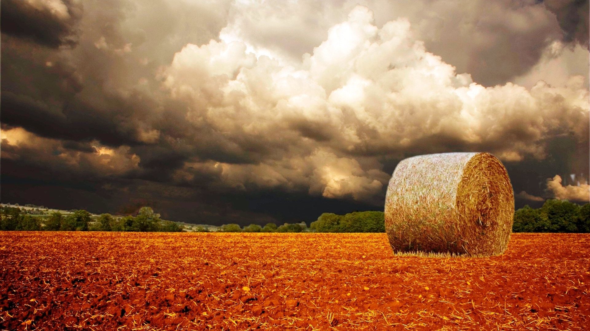 风景,秋意正浓,草卷,儿童桌面专用