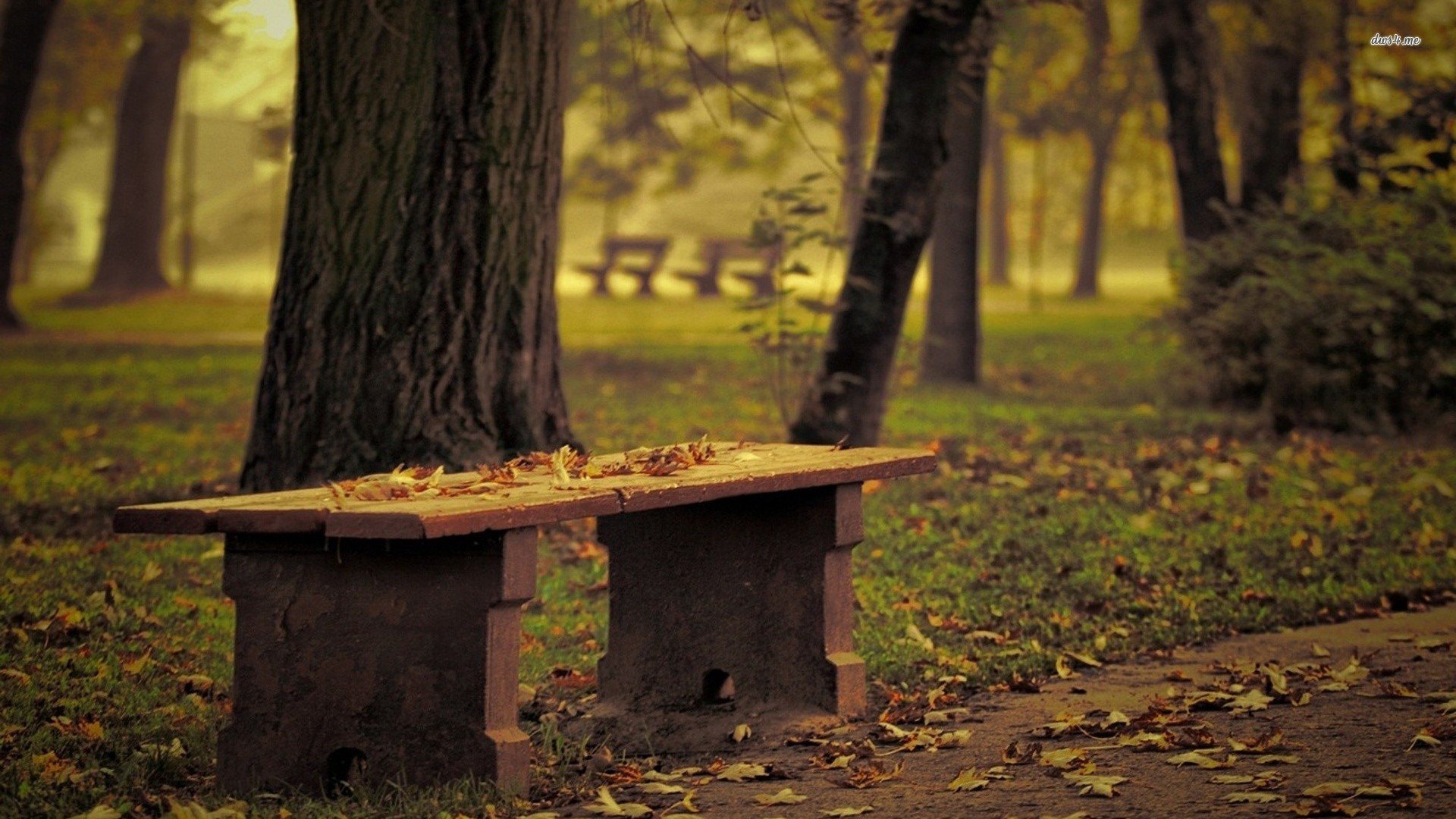 小清新,温馨一刻