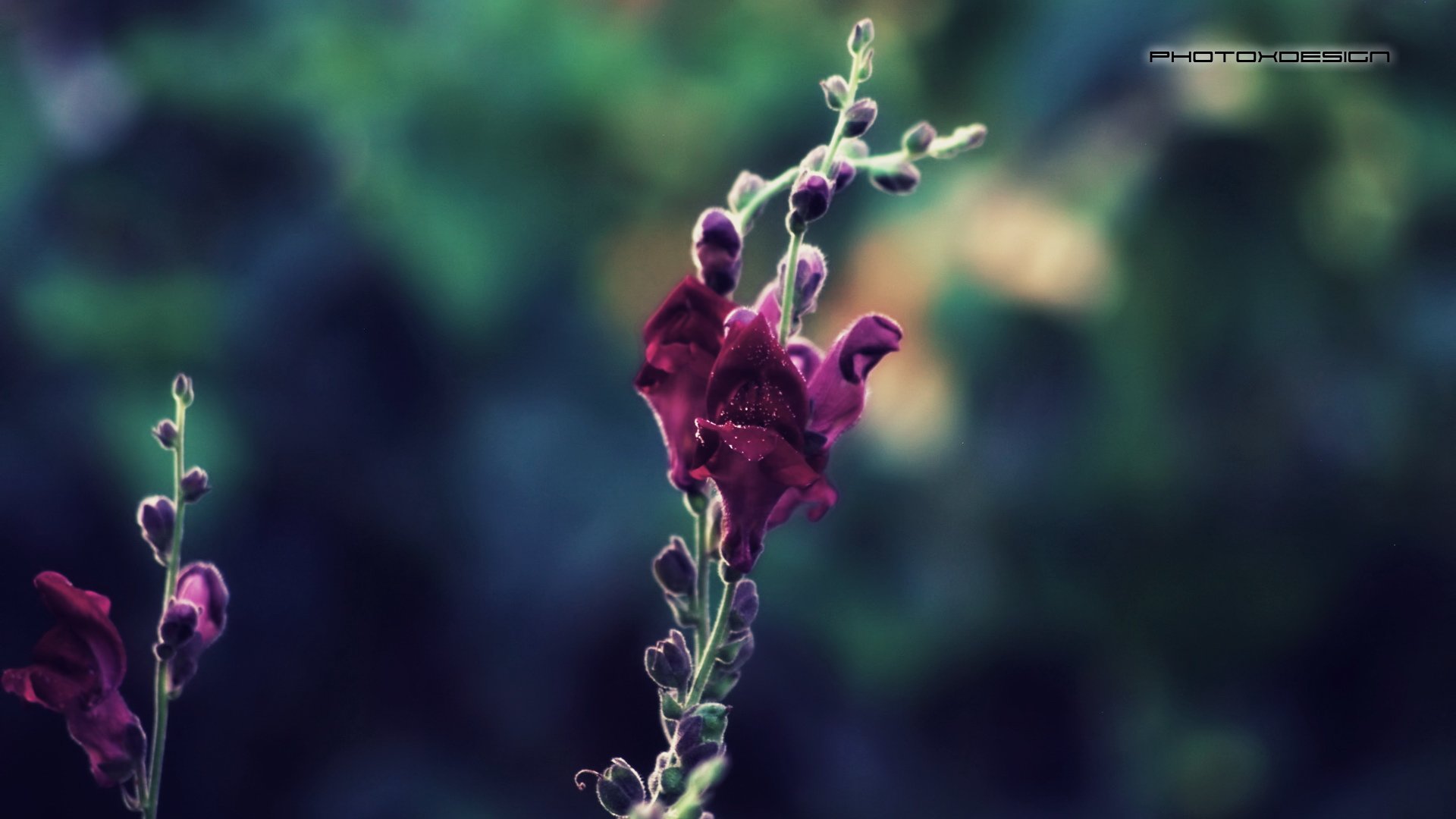 小清新,清新淡雅