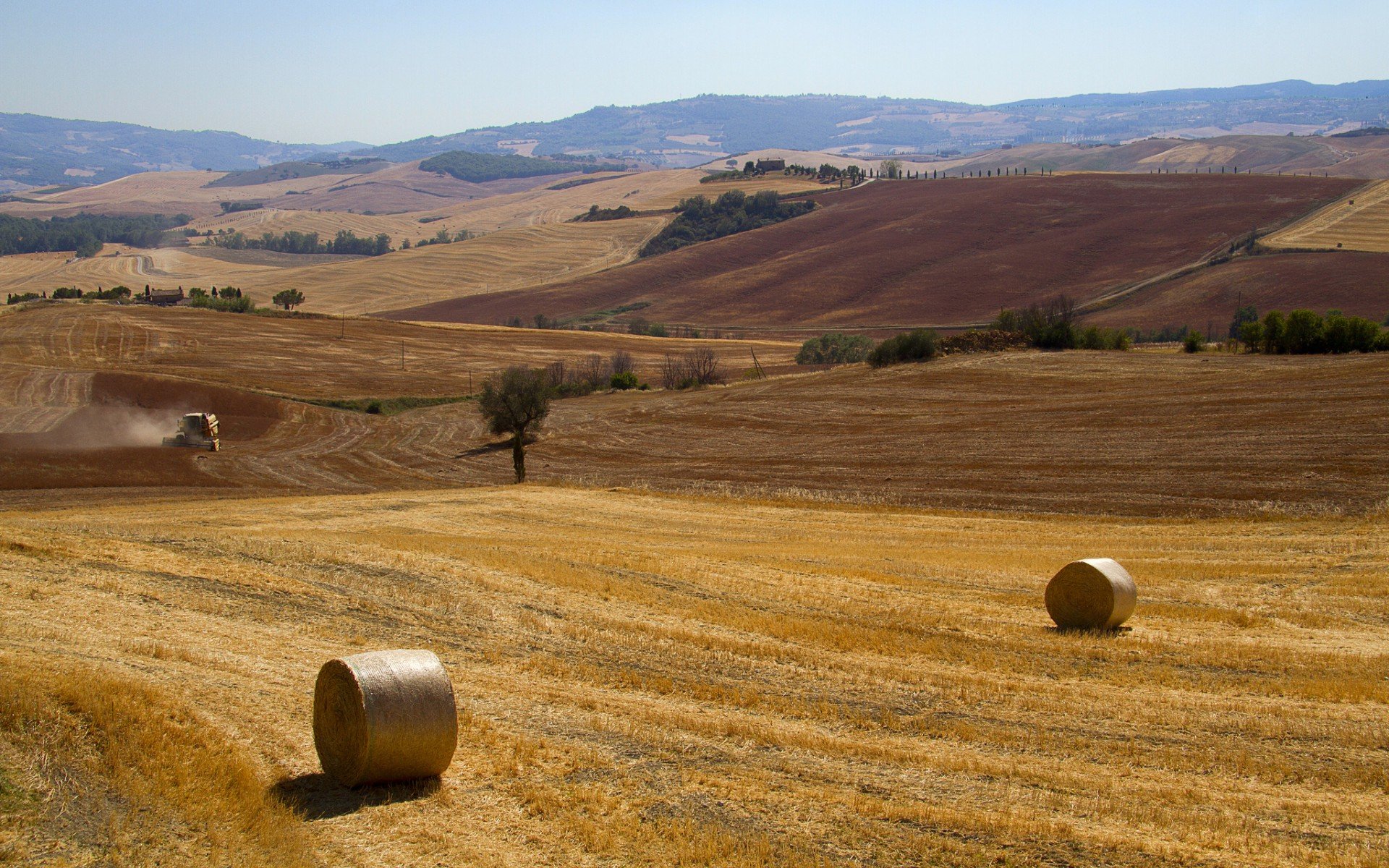风景,秋意正浓,儿童桌面专用