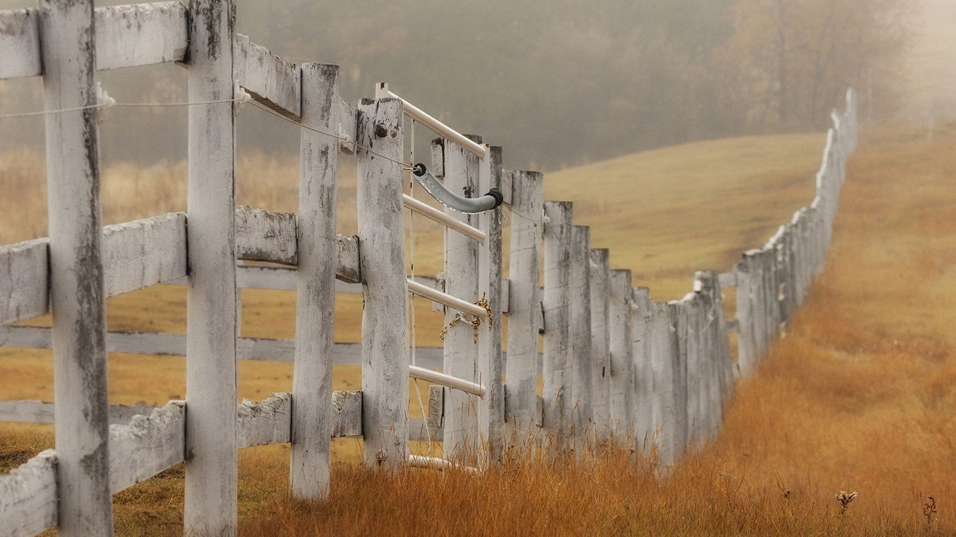 风景,秋意正浓,儿童桌面专用