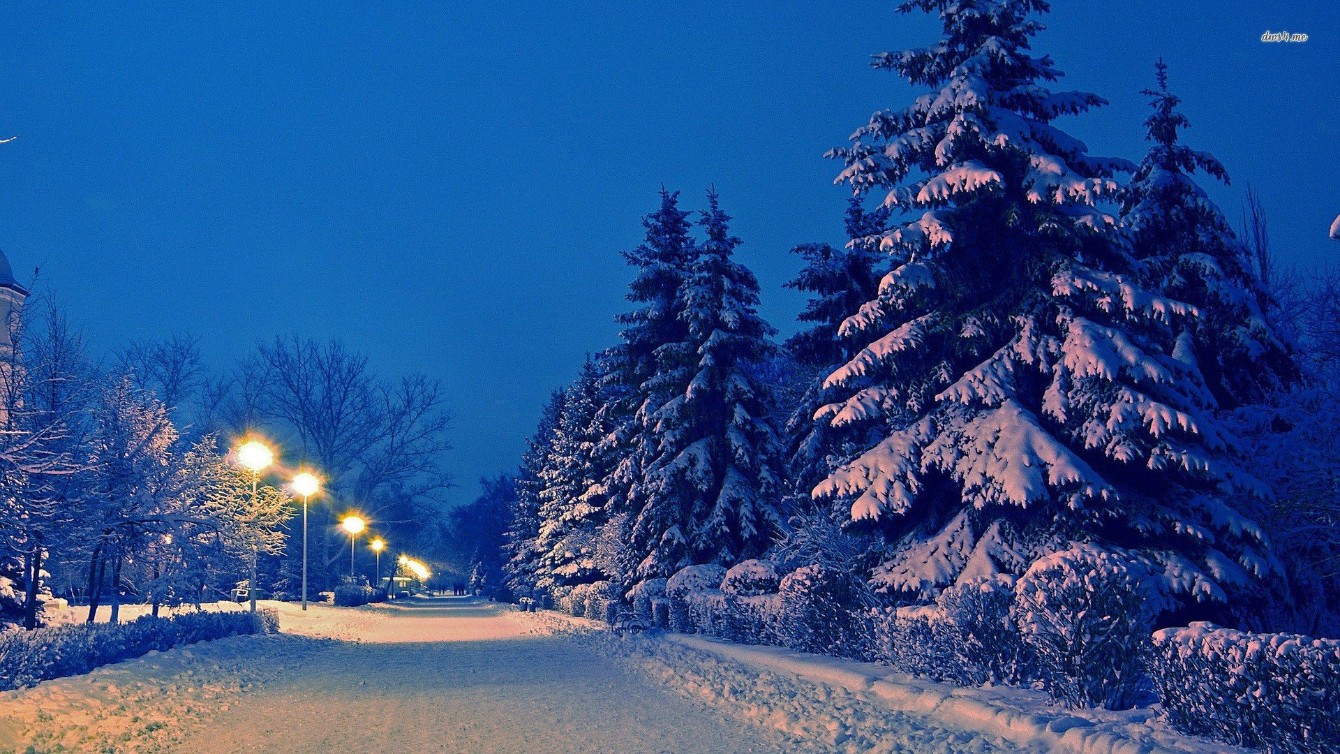 风景,摄影,夜晚,冰天雪地,儿童桌面专用