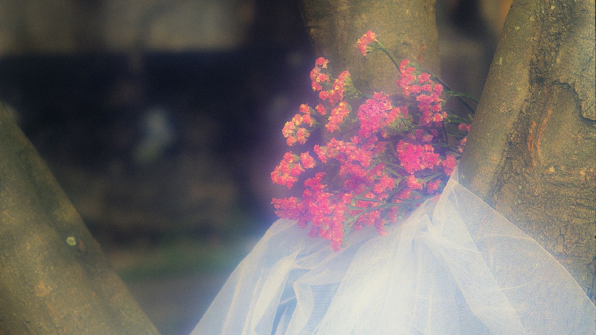 小清新,清新淡雅,儿童桌面专用