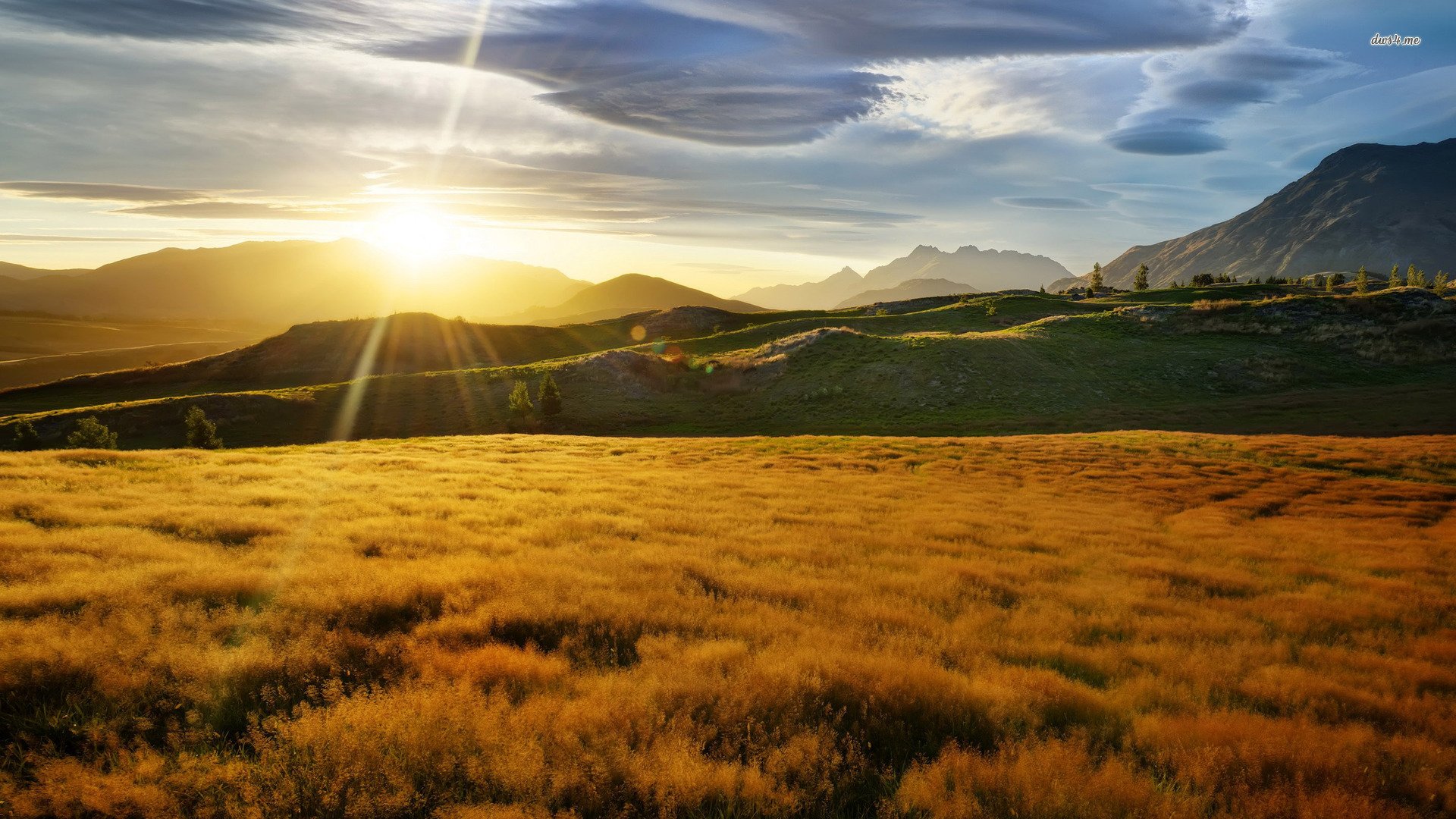风景,秋意正浓,儿童桌面专用
