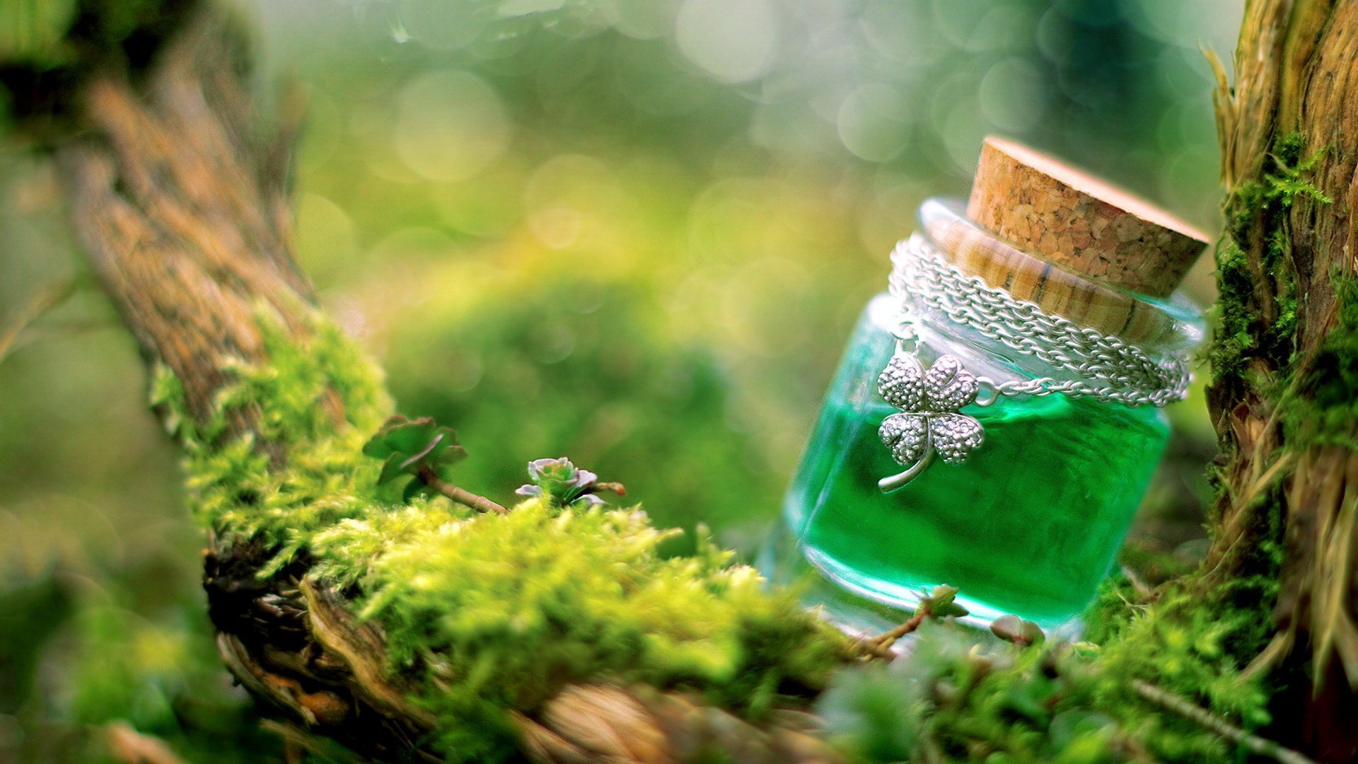 小清新,许愿瓶,清新淡雅,儿童桌面专用