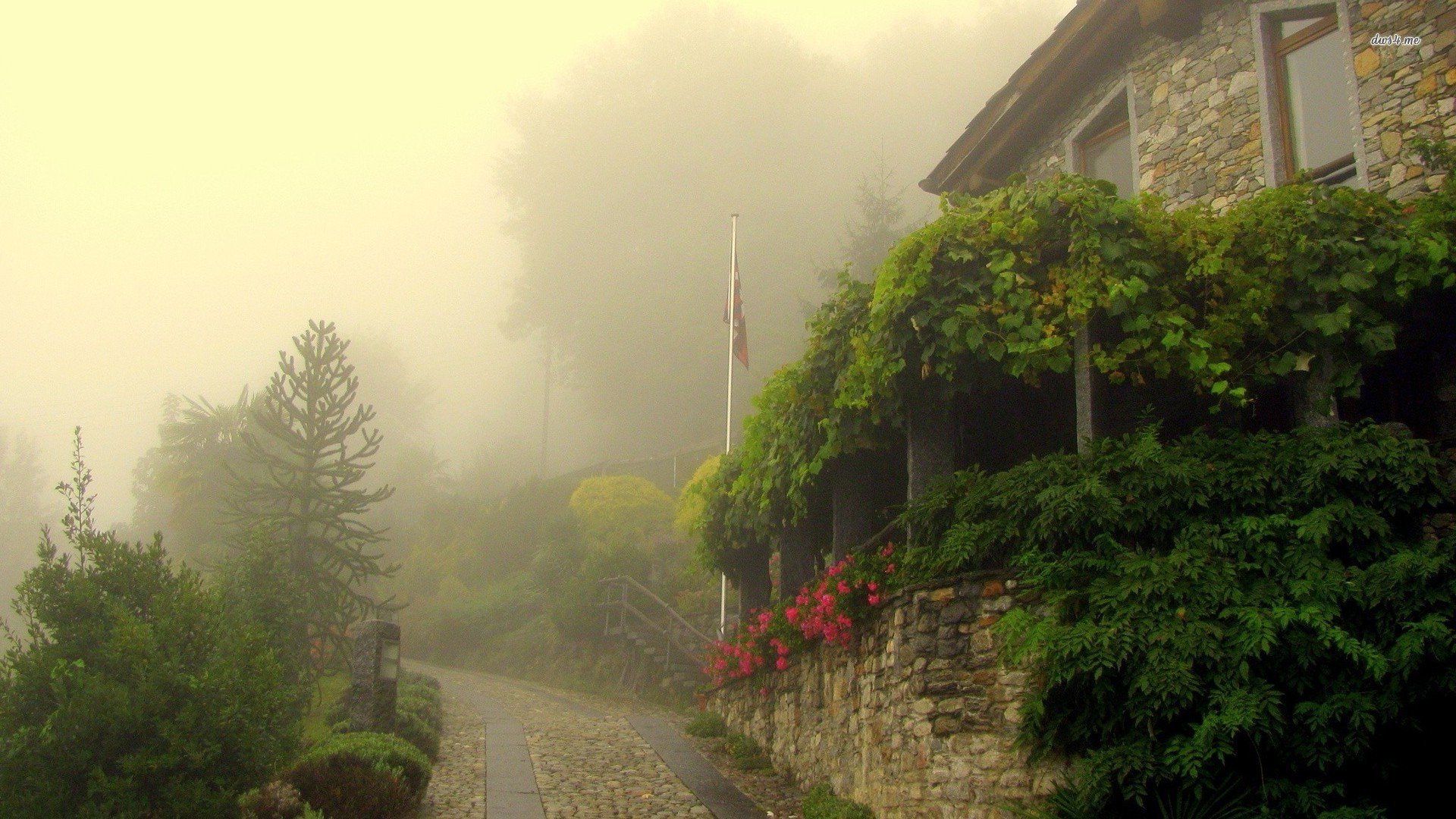 风景,秋意正浓,儿童桌面专用