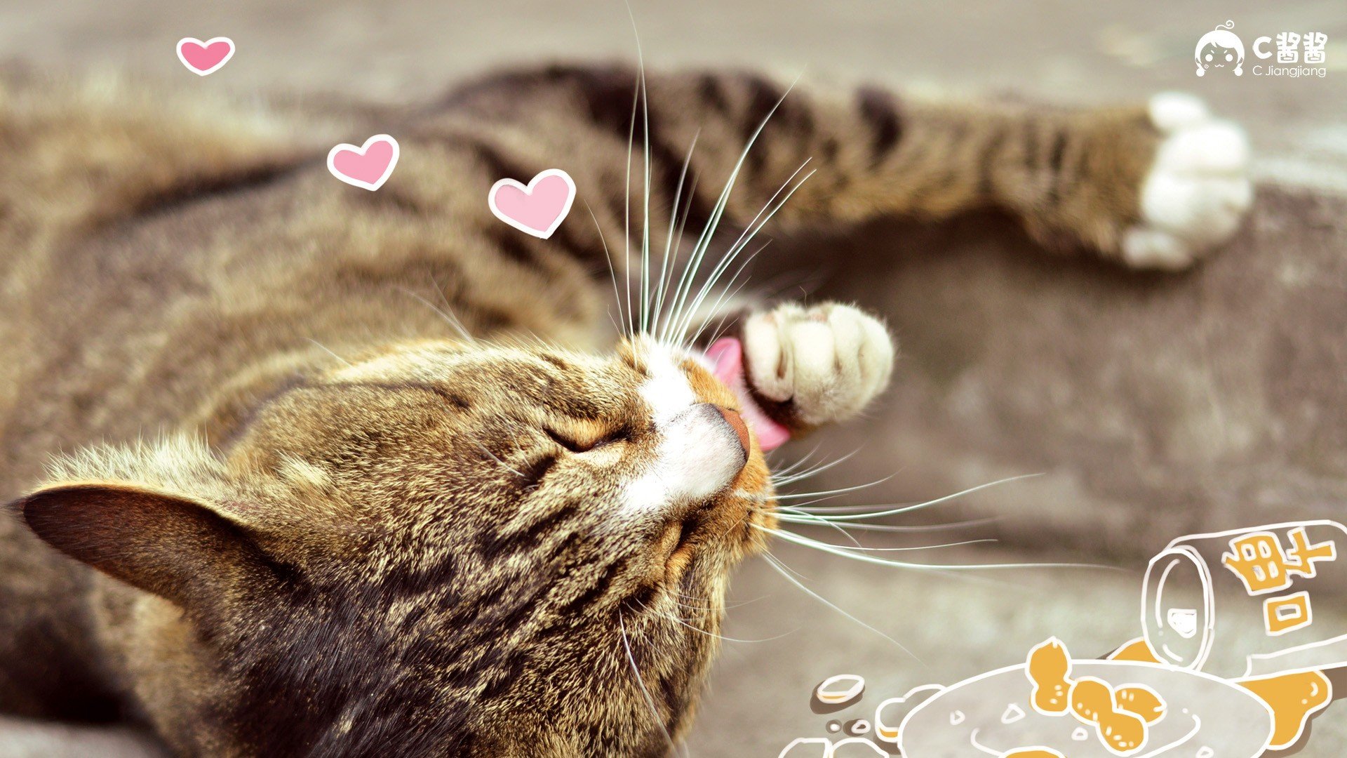 萌宠,喵星人,猫咪,C酱酱,儿童桌面专用