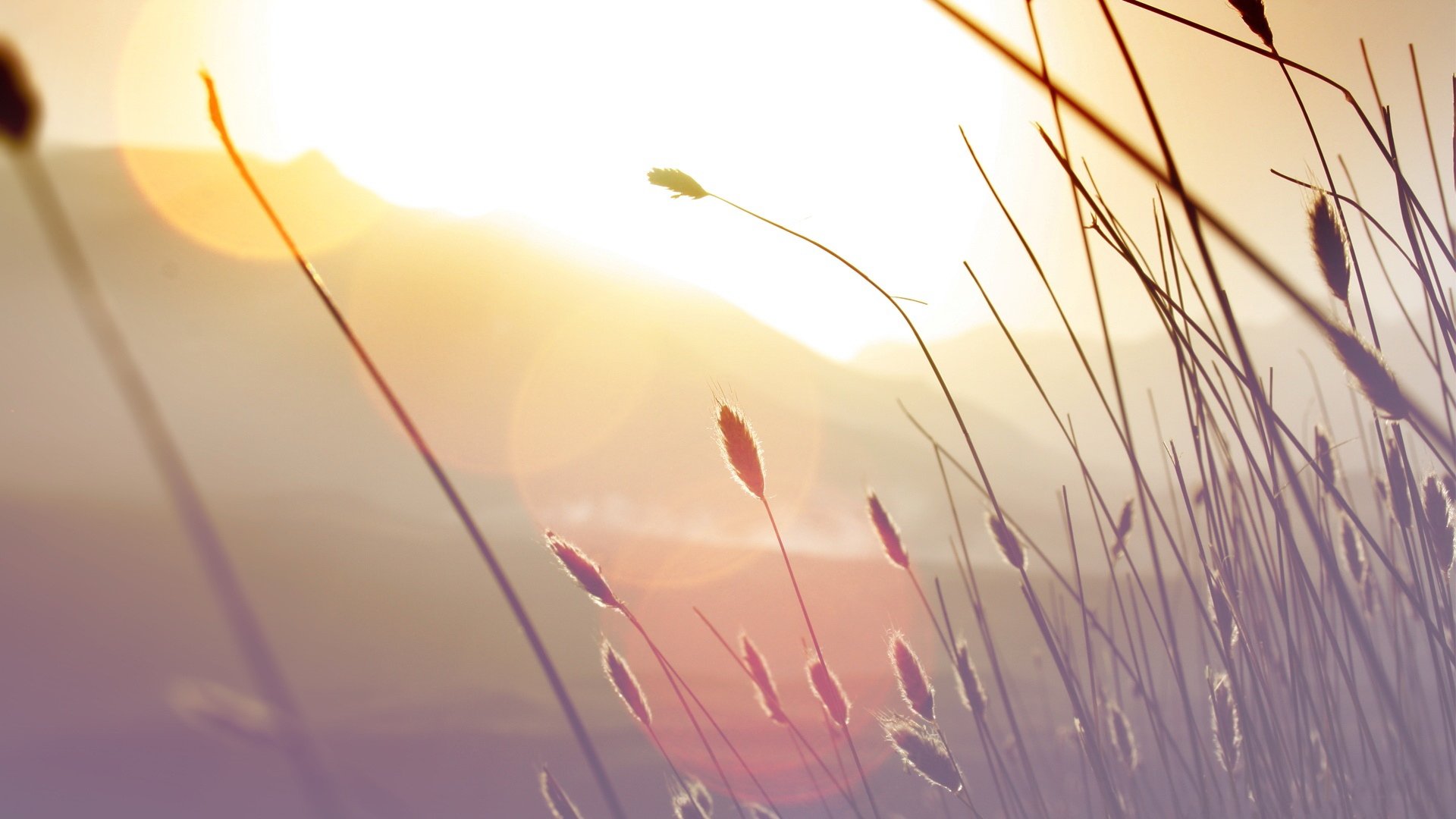 小清新,清新淡雅,儿童桌面专用