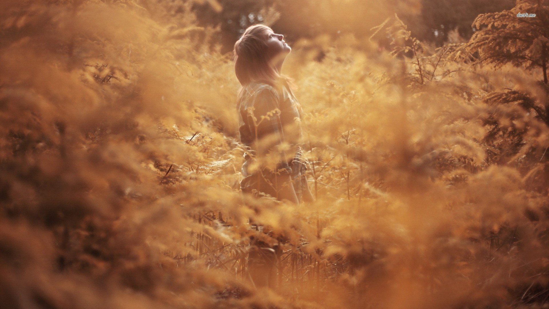 小清新,清新淡雅,儿童桌面专用