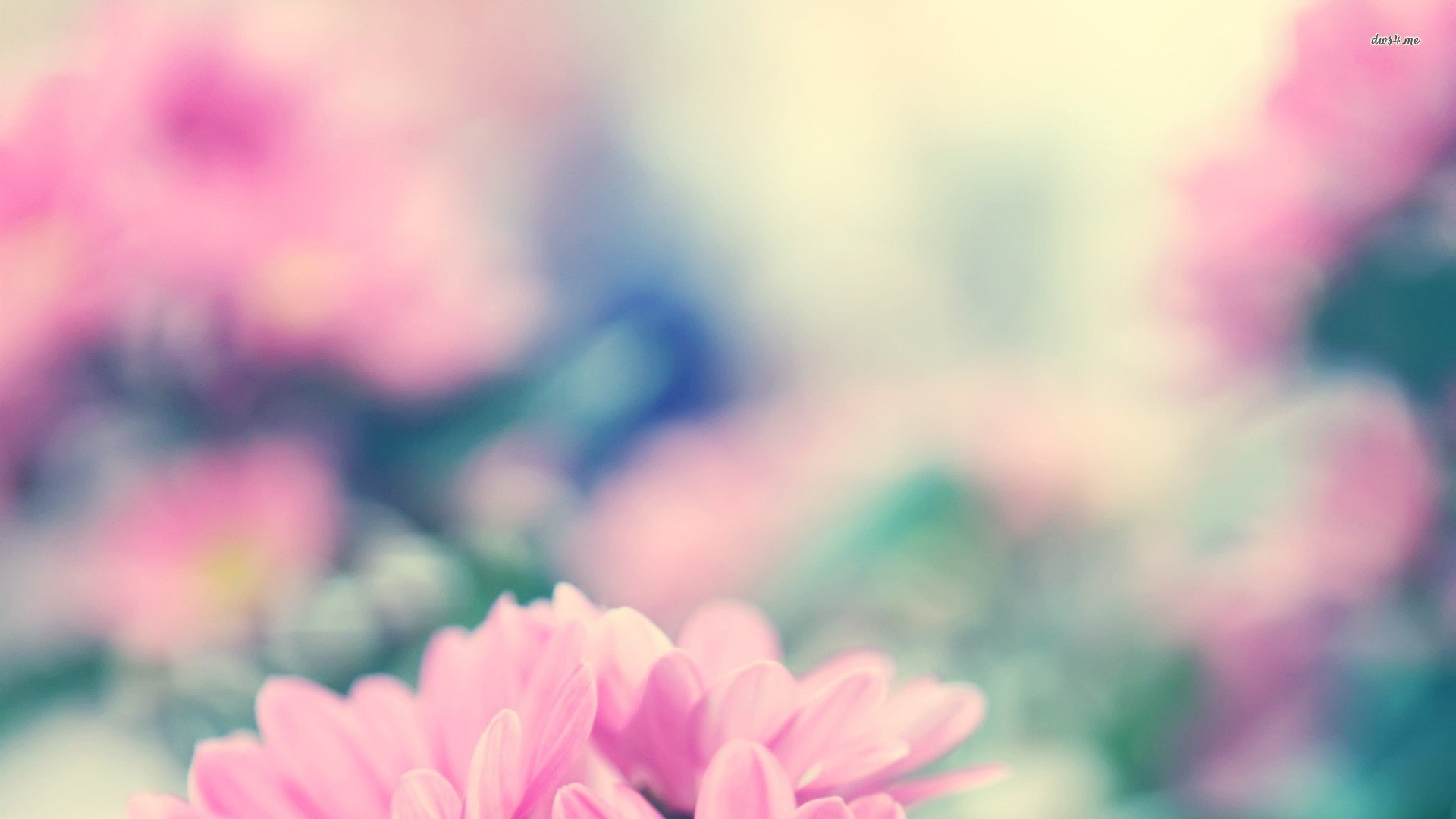 小清新,清新淡雅,儿童桌面专用