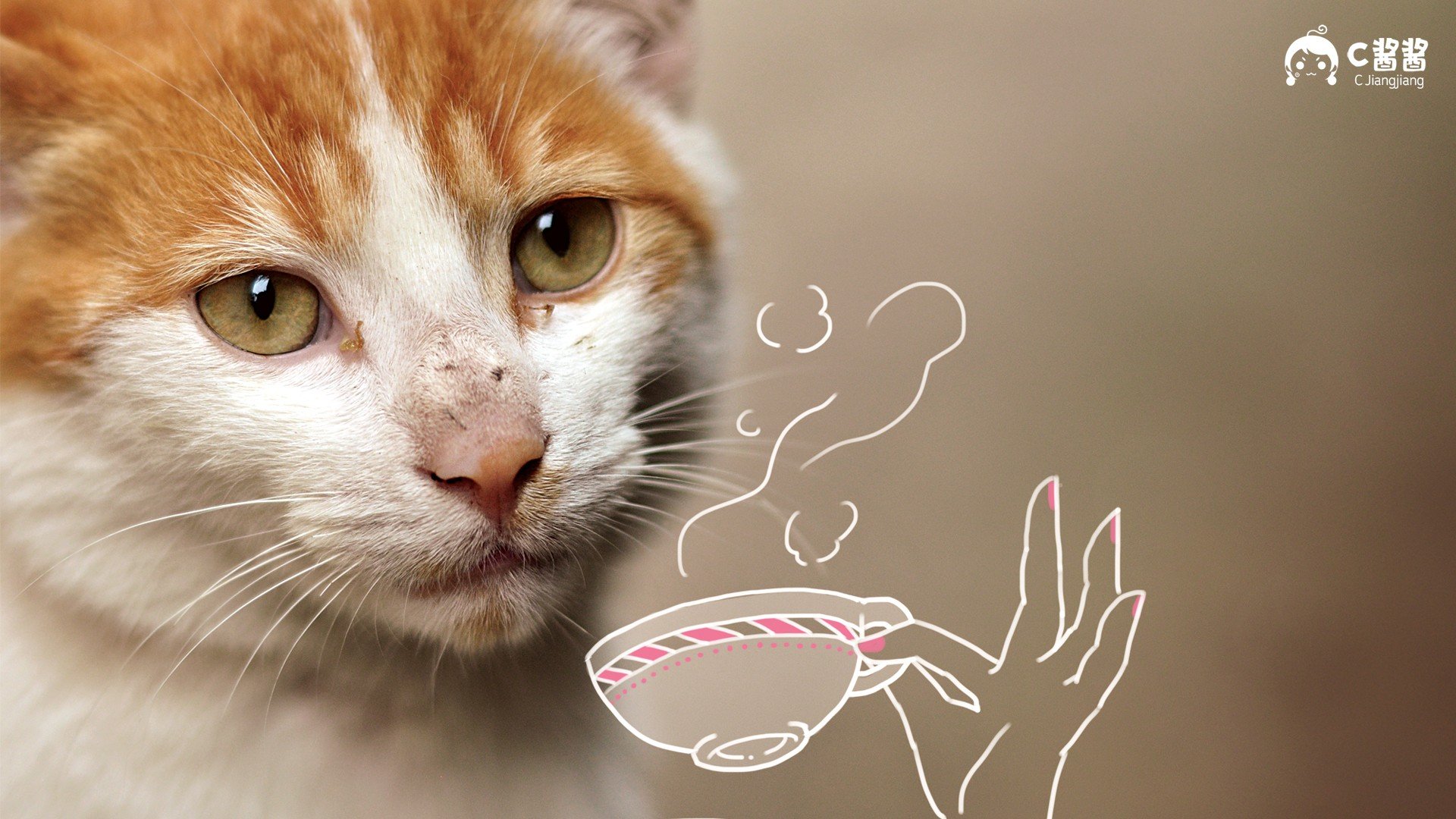 萌宠,喵星人,猫咪,C酱酱,儿童桌面专用