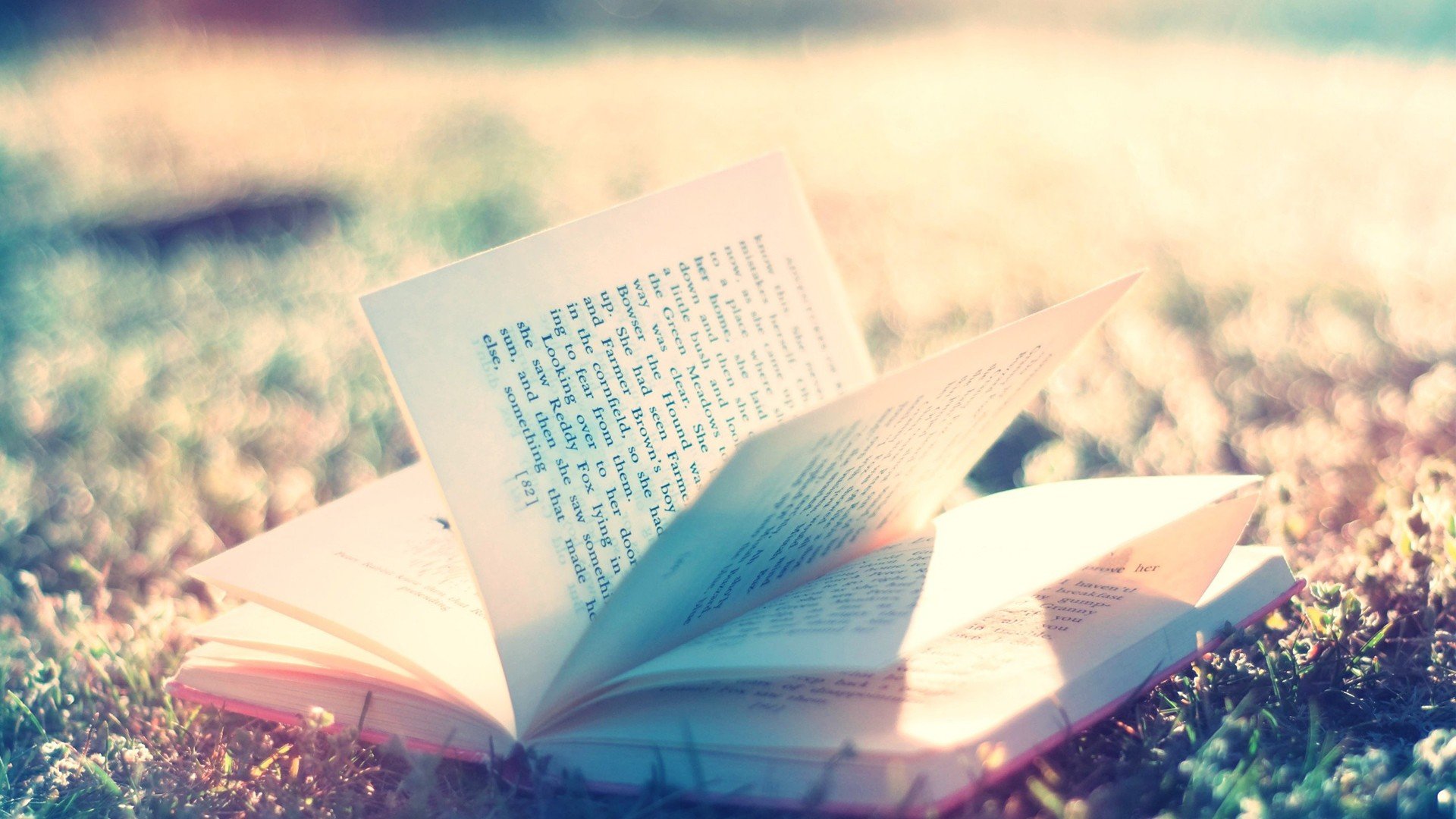 小清新,书,静物写真,儿童桌面专用