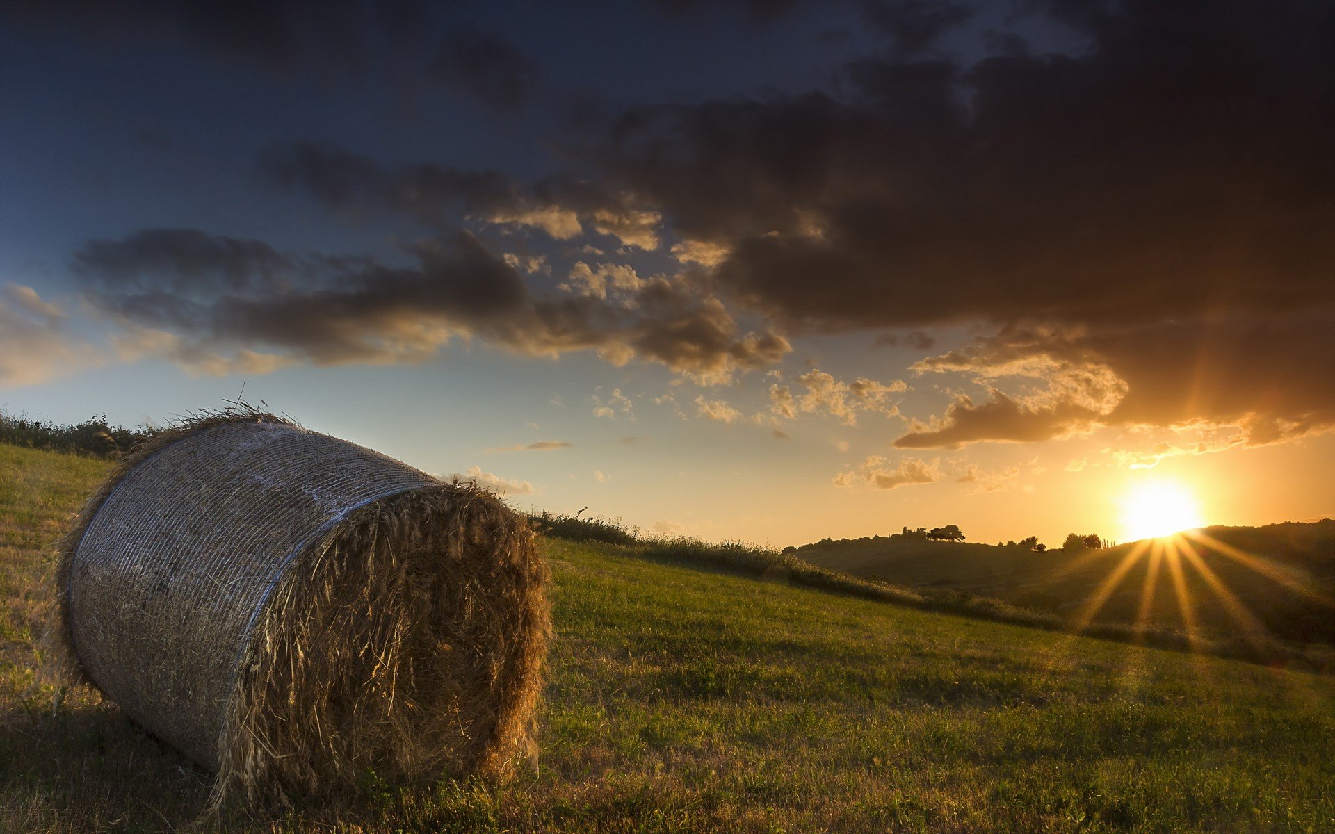 风景,秋意正浓,草卷,儿童桌面专用