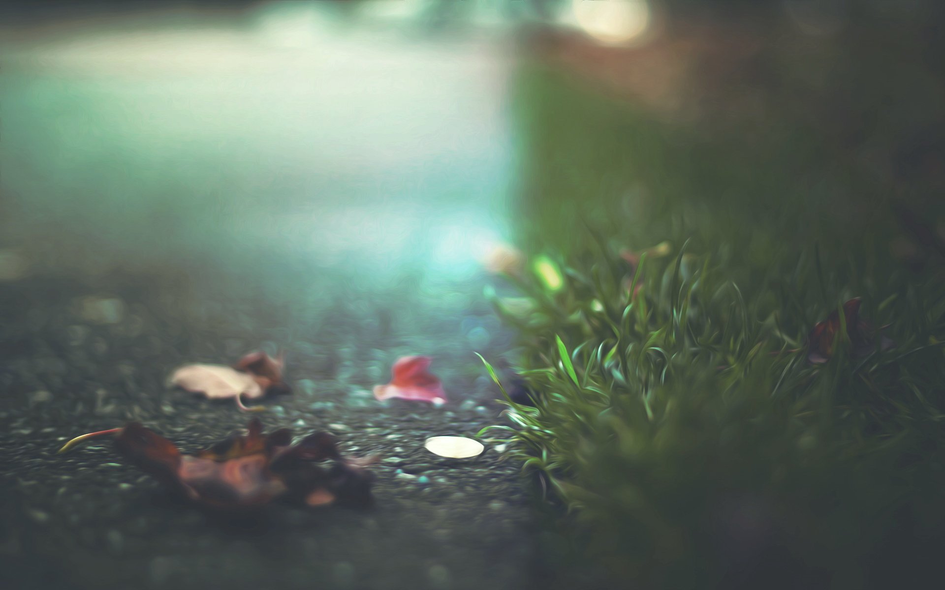 小清新,清新淡雅,儿童桌面专用