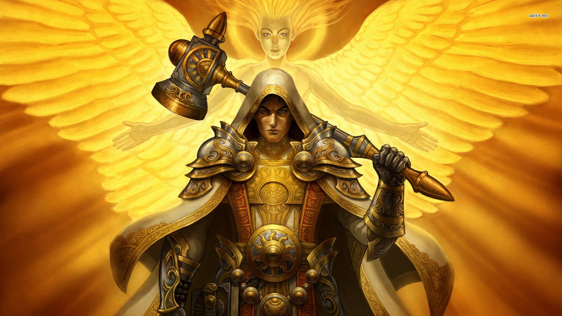 游戏,魔兽世界,圣骑士