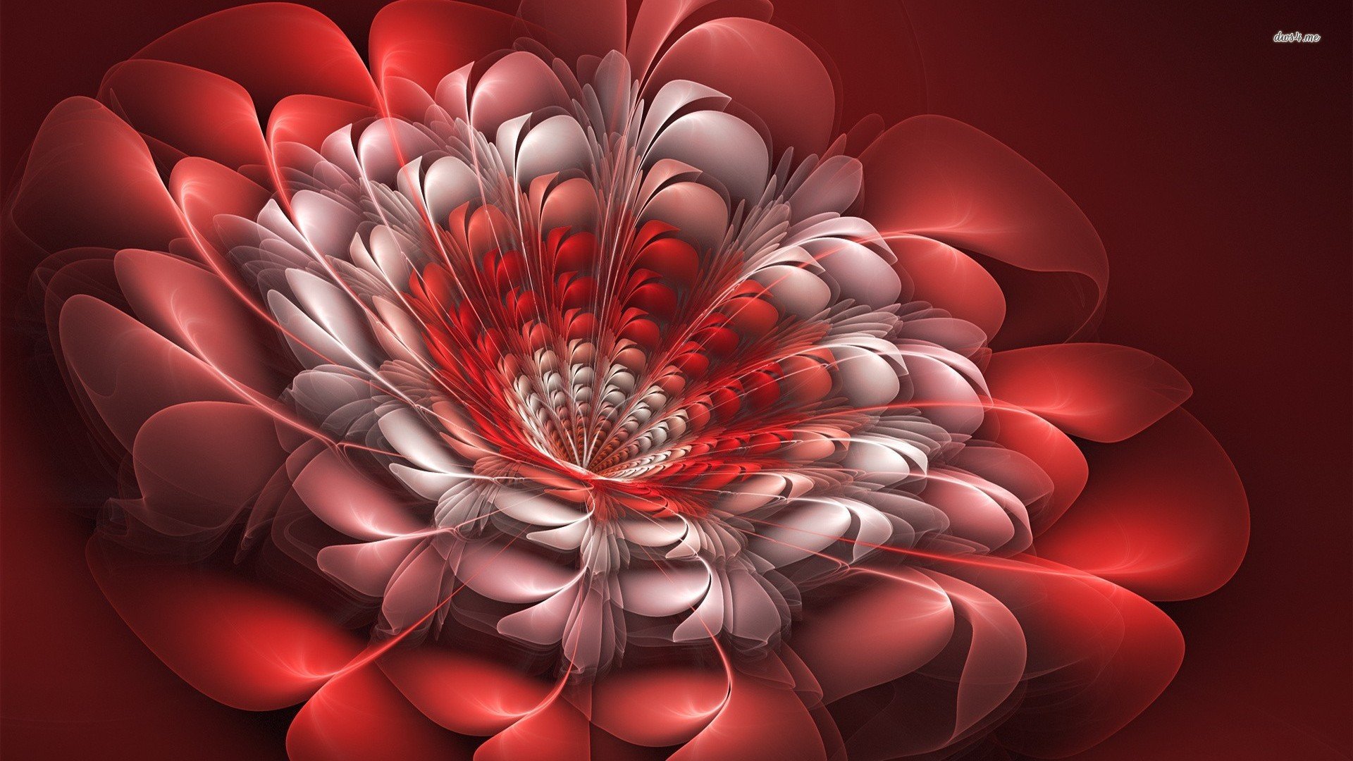 创意,3D,设计,儿童桌面专用