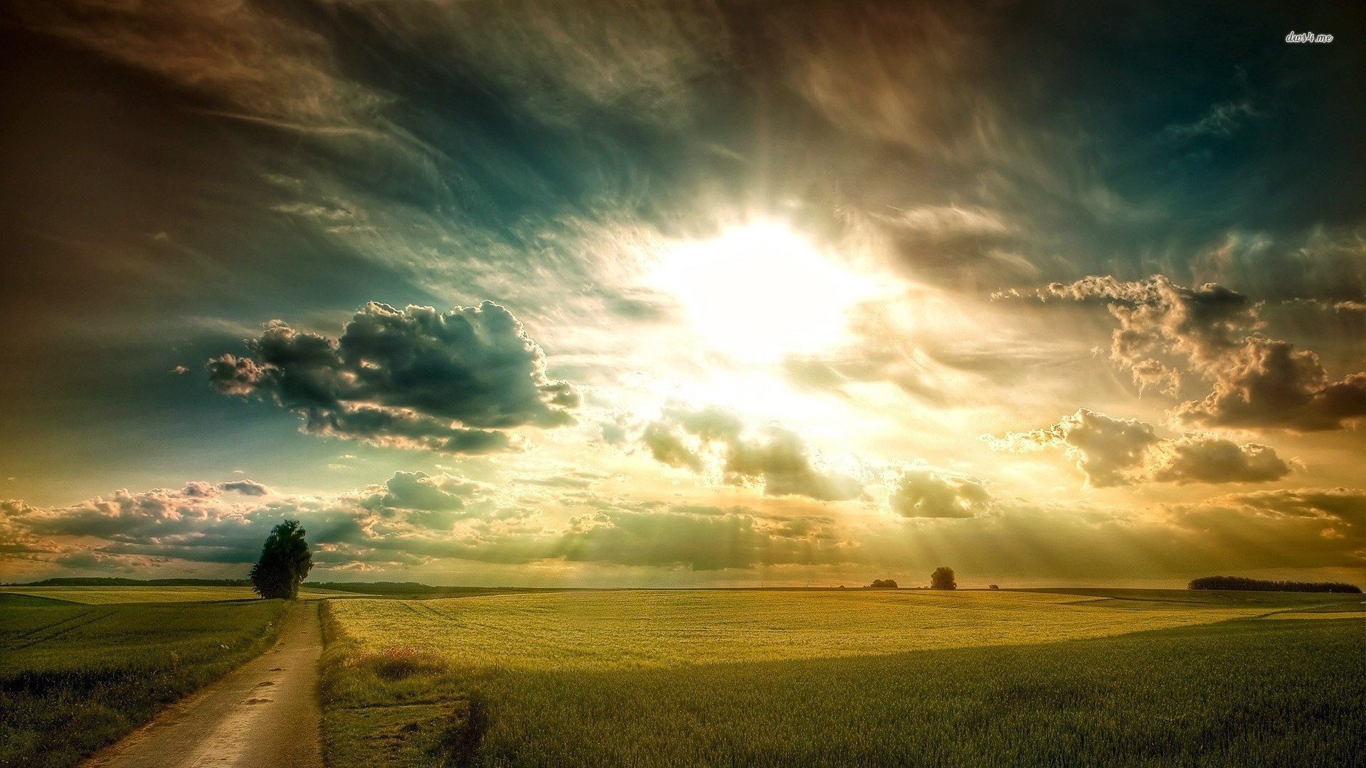 风景,阳光,儿童桌面专用